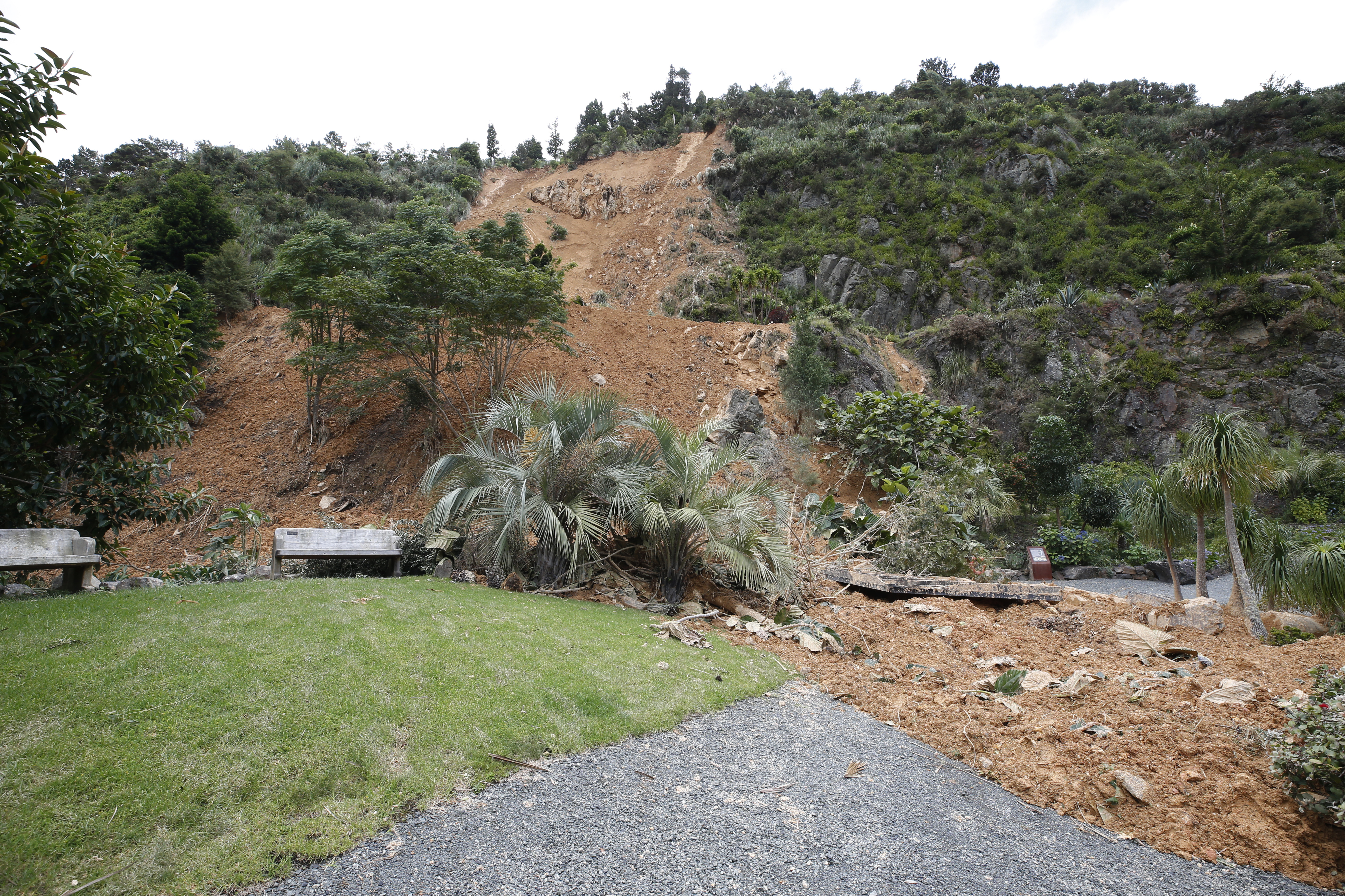 A slip has destroyed the Arid garden, and flattened a shelter that was completed just last month (seen to the right of this picture). Photo / Michael Cunningham