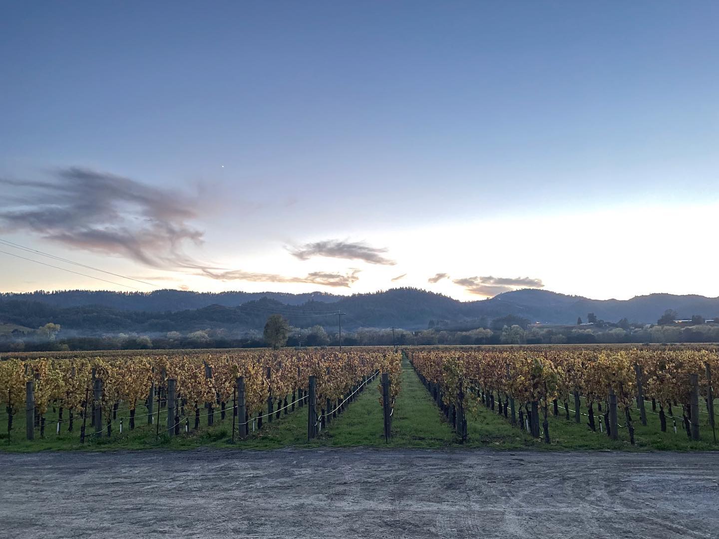 Unti Vineyards in Sonoma County, California. Photo / Instagram, @UntiVineyards