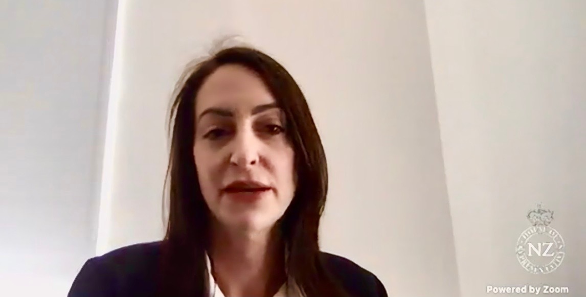 Wellington lawyer Esther Watt giving evidence remotely. Photo /  Justice Committee Facebook.