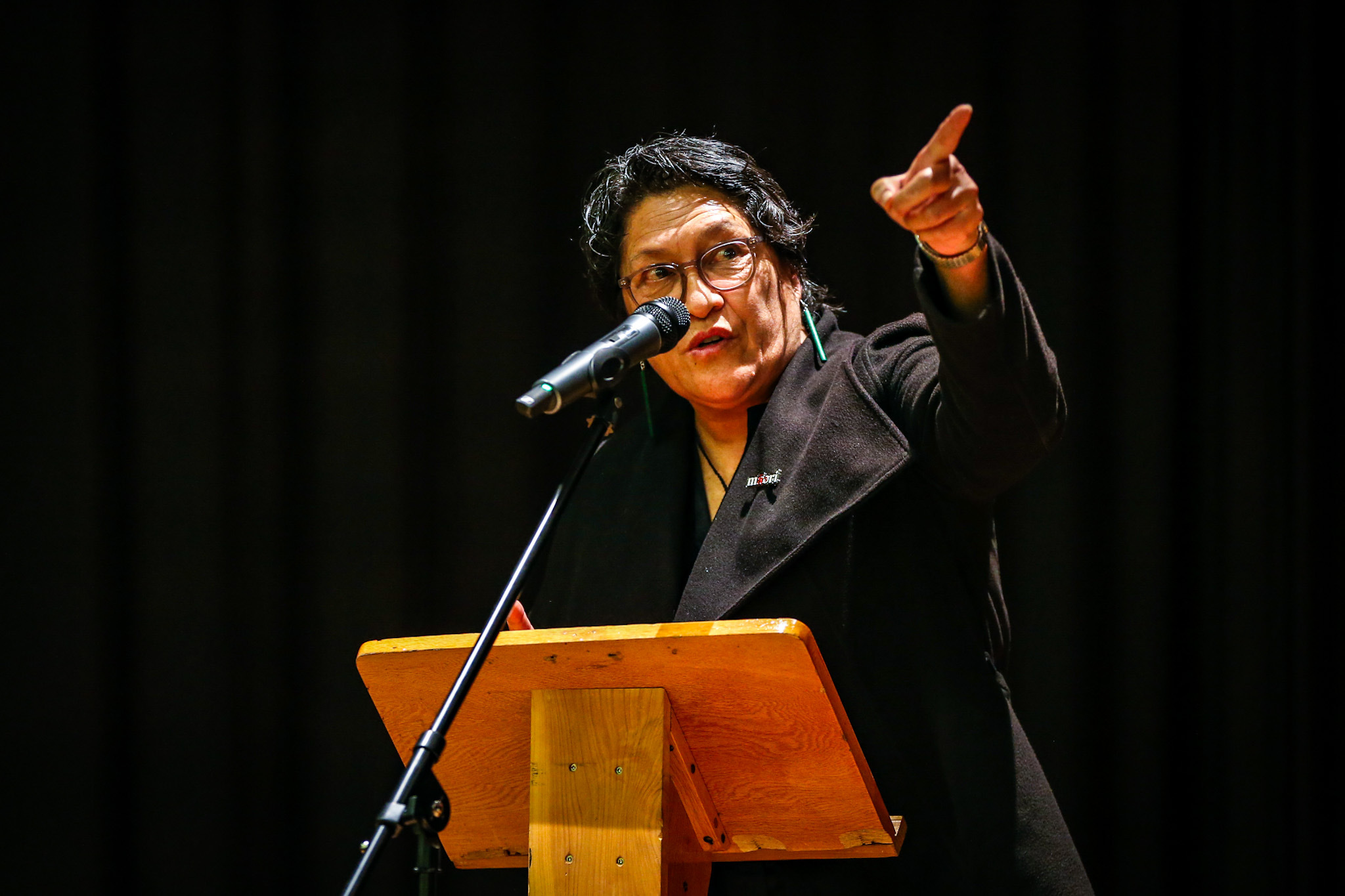 Meka Whaitiri is Ikaroa-Rāwhiti's current sitting MP and a candidate for Te Pati Māori. Photo / Paul Taylor
