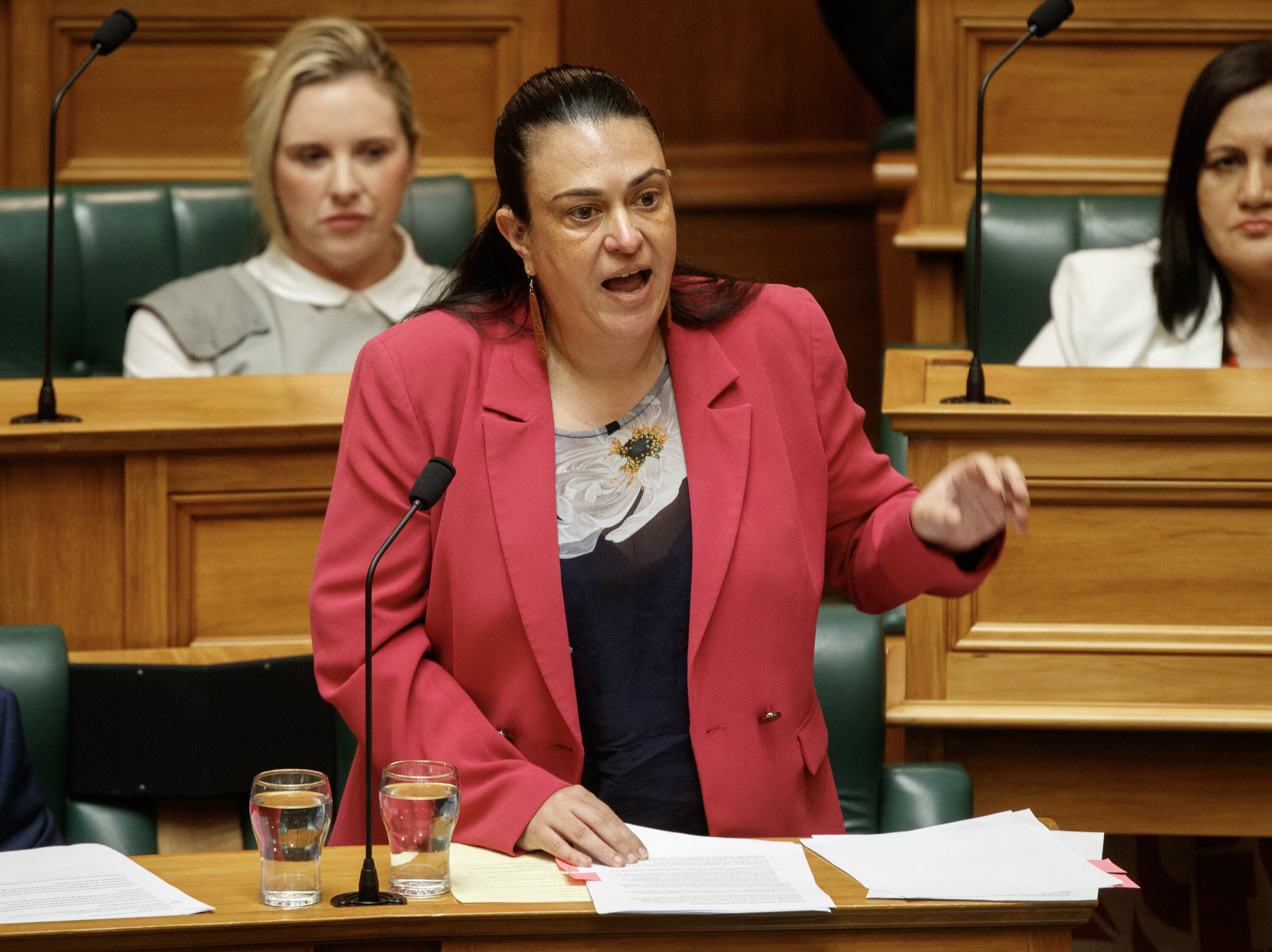 Act minister Karen Chhour’s was the first clash-point between the Government and the Waitangi Tribunal. Photo / Mark Mitchell 