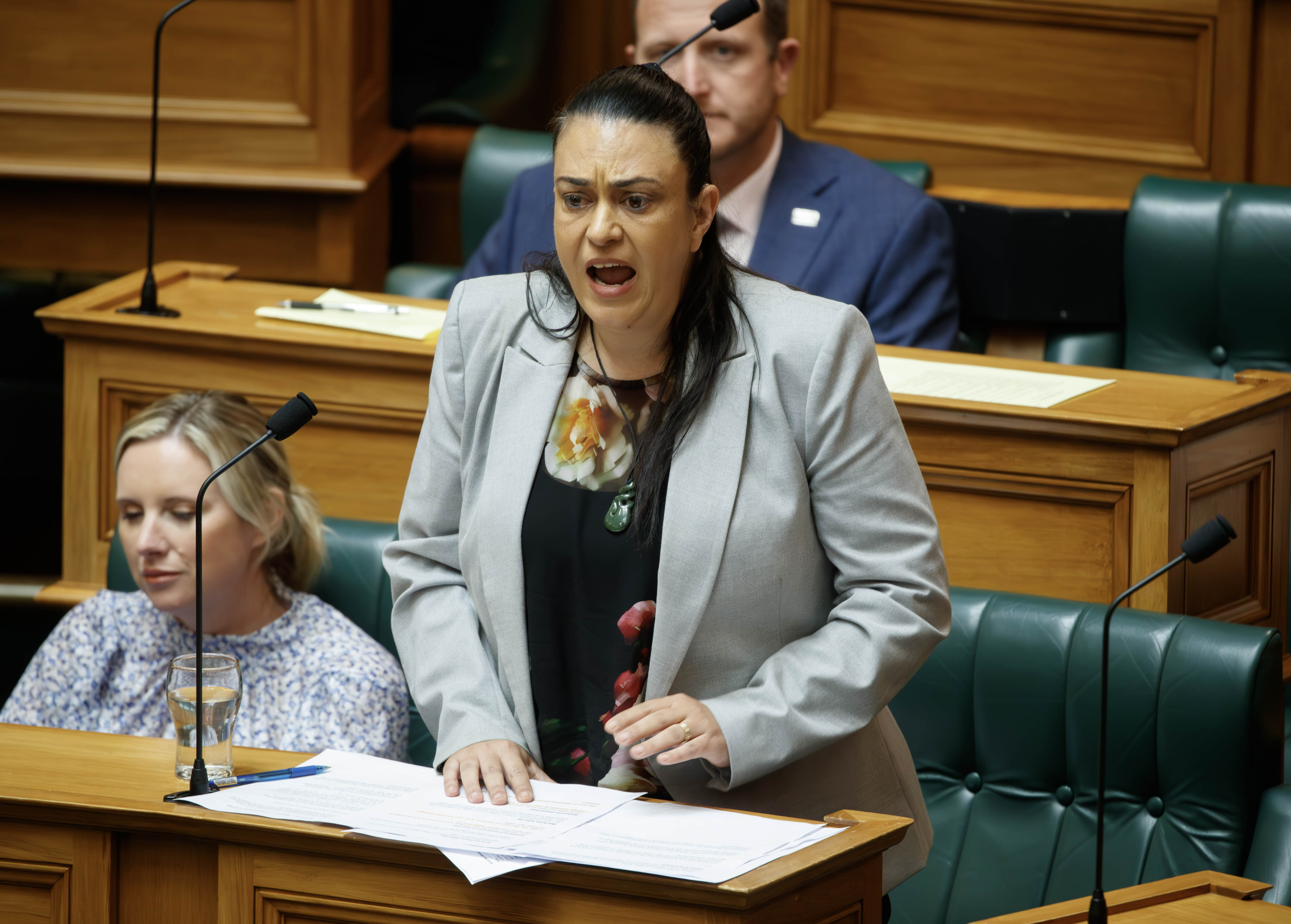 Children Minister Karen Chhour. Photo / Mark Mitchell