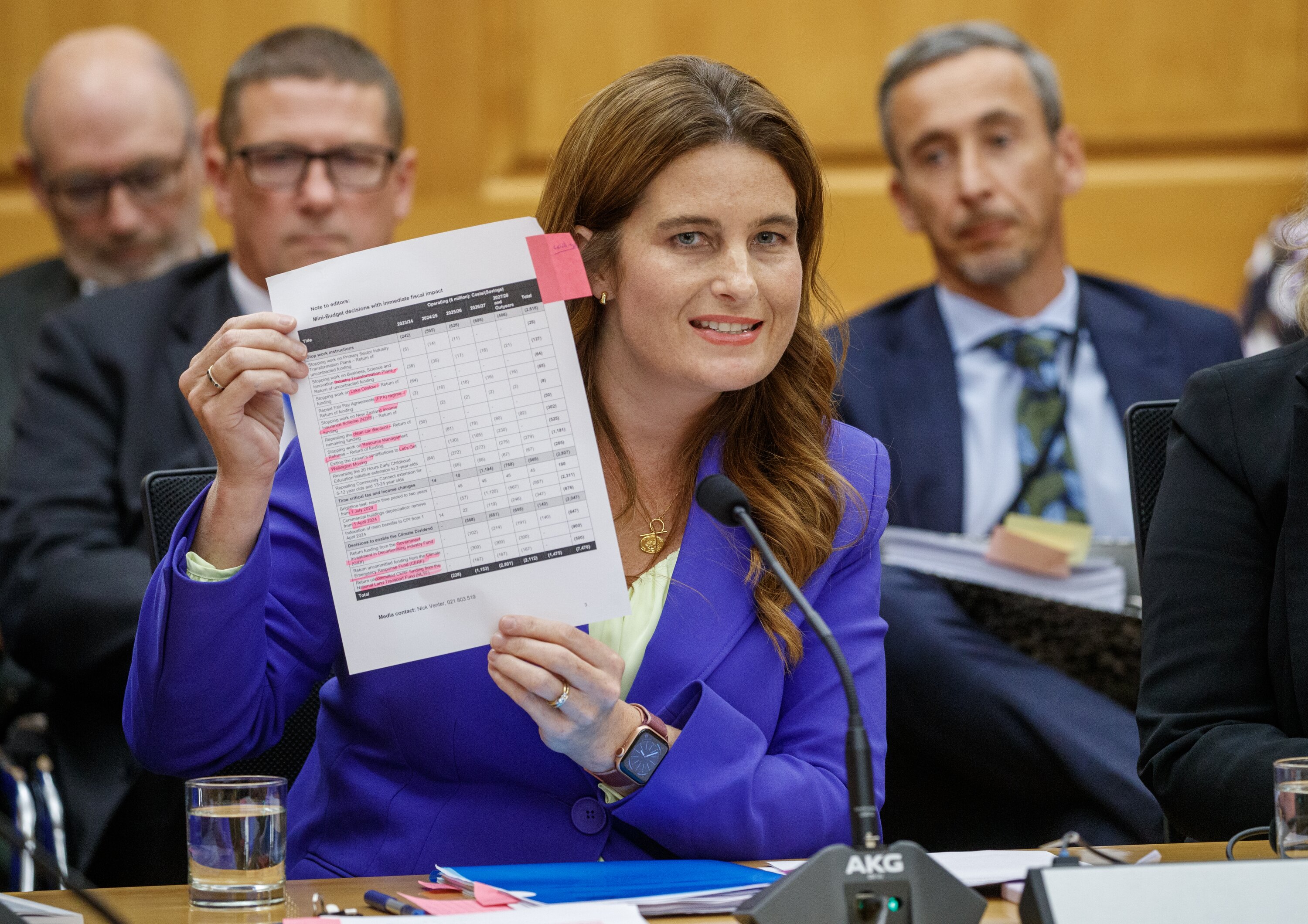Finance Minister Nicola Willis during her appearance before the finance and expenditure select committee in February. Photo / Mark Mitchell