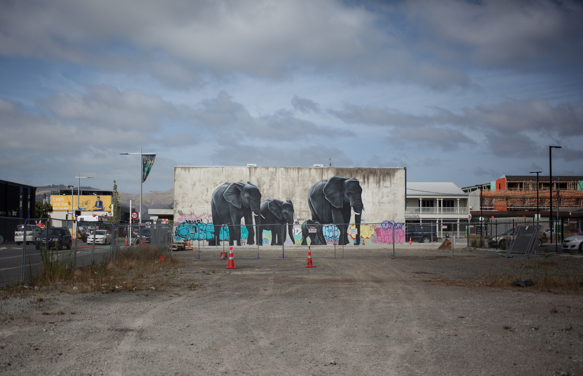The Garden City's street art was lauded by Lonely Planet, but its 2018 guide says 'Scaffolding and cones will be part of Christchurch's landscape for a while yet'. Photo / Getty Images