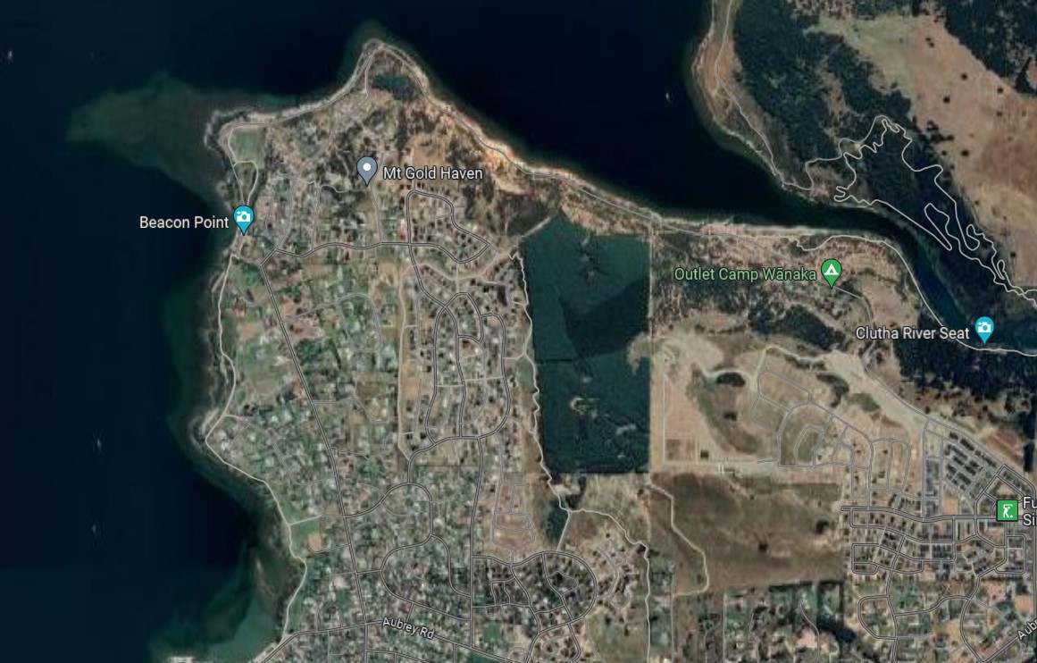 Sticky Forest, the patch of forest greenery just right of the map's centre, is surrounded by Lake Wanaka to the north and residential housing to the west and south. Source: Google Maps