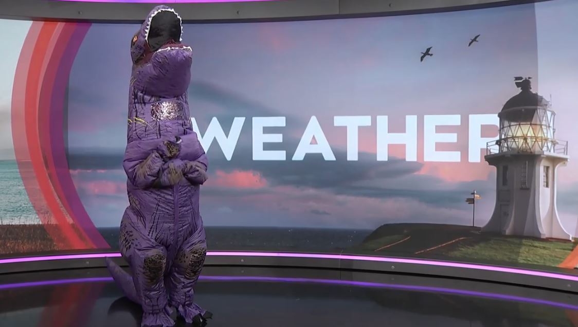 Poor Matty. Photo / TVNZ