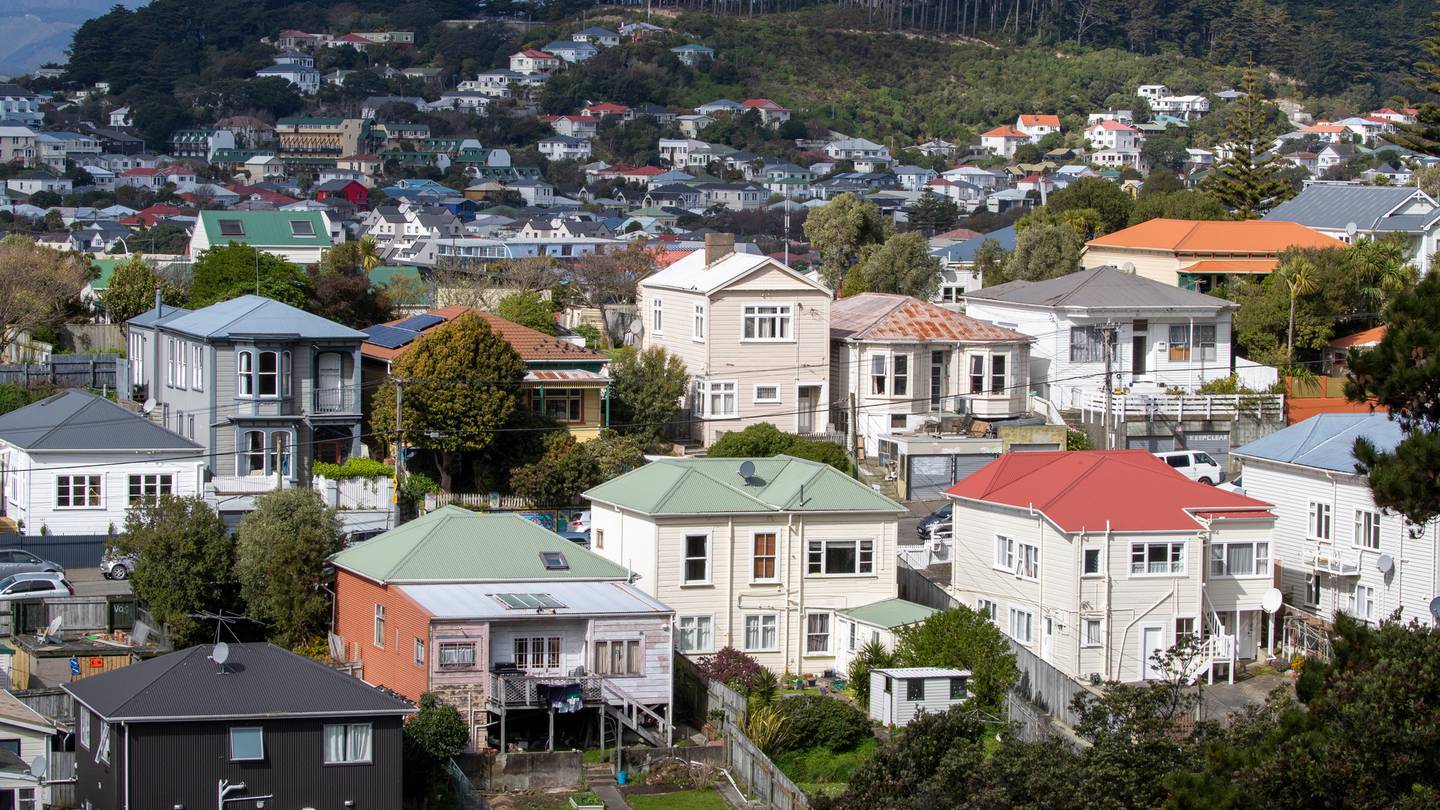 Wellington City Council on X: Discover magical Christmas scenes