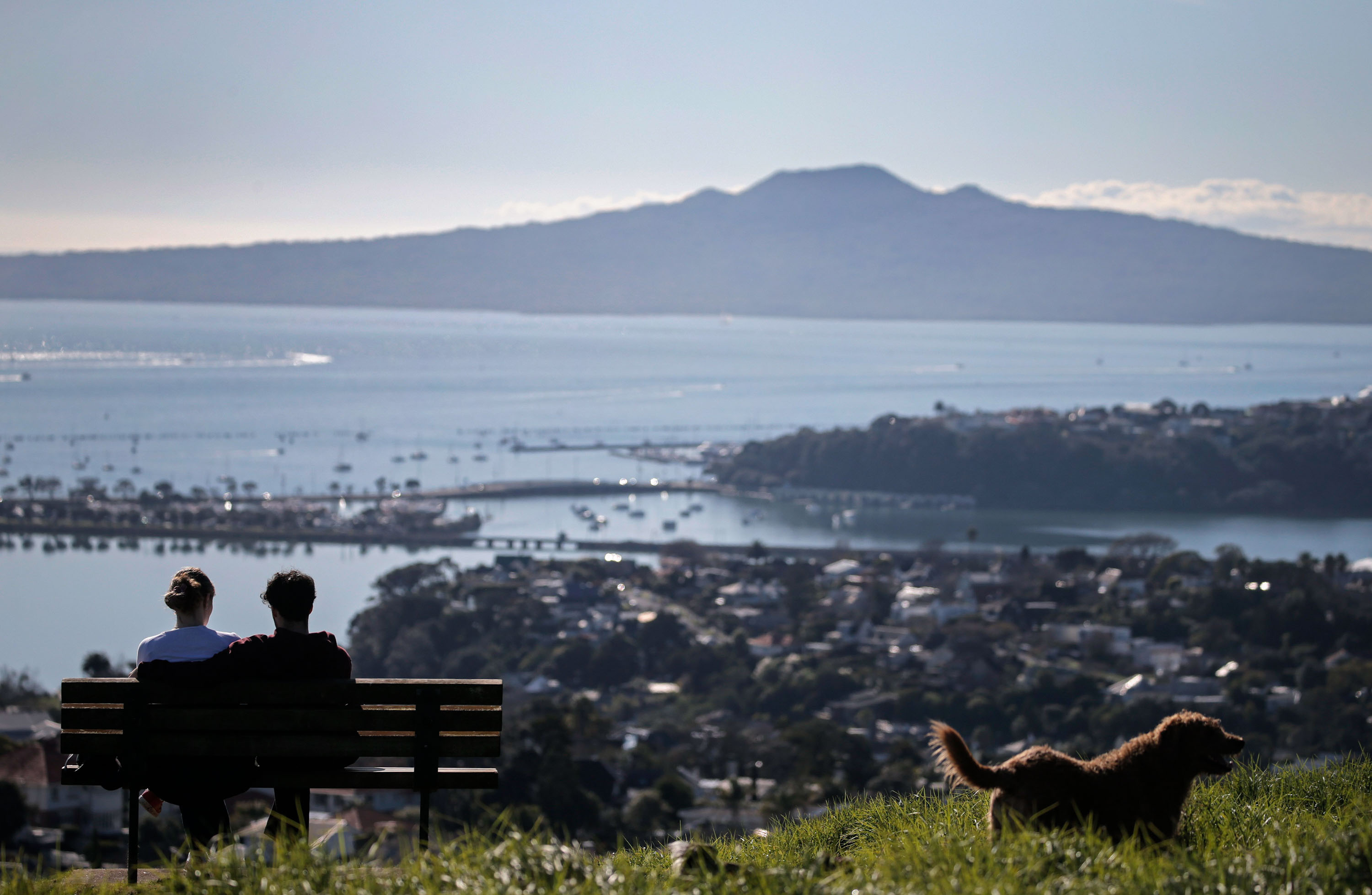The view from the top of Ohinerau/Mount Hobson overlooking the Waitemata harbour.  Photo/ Alex Burton  