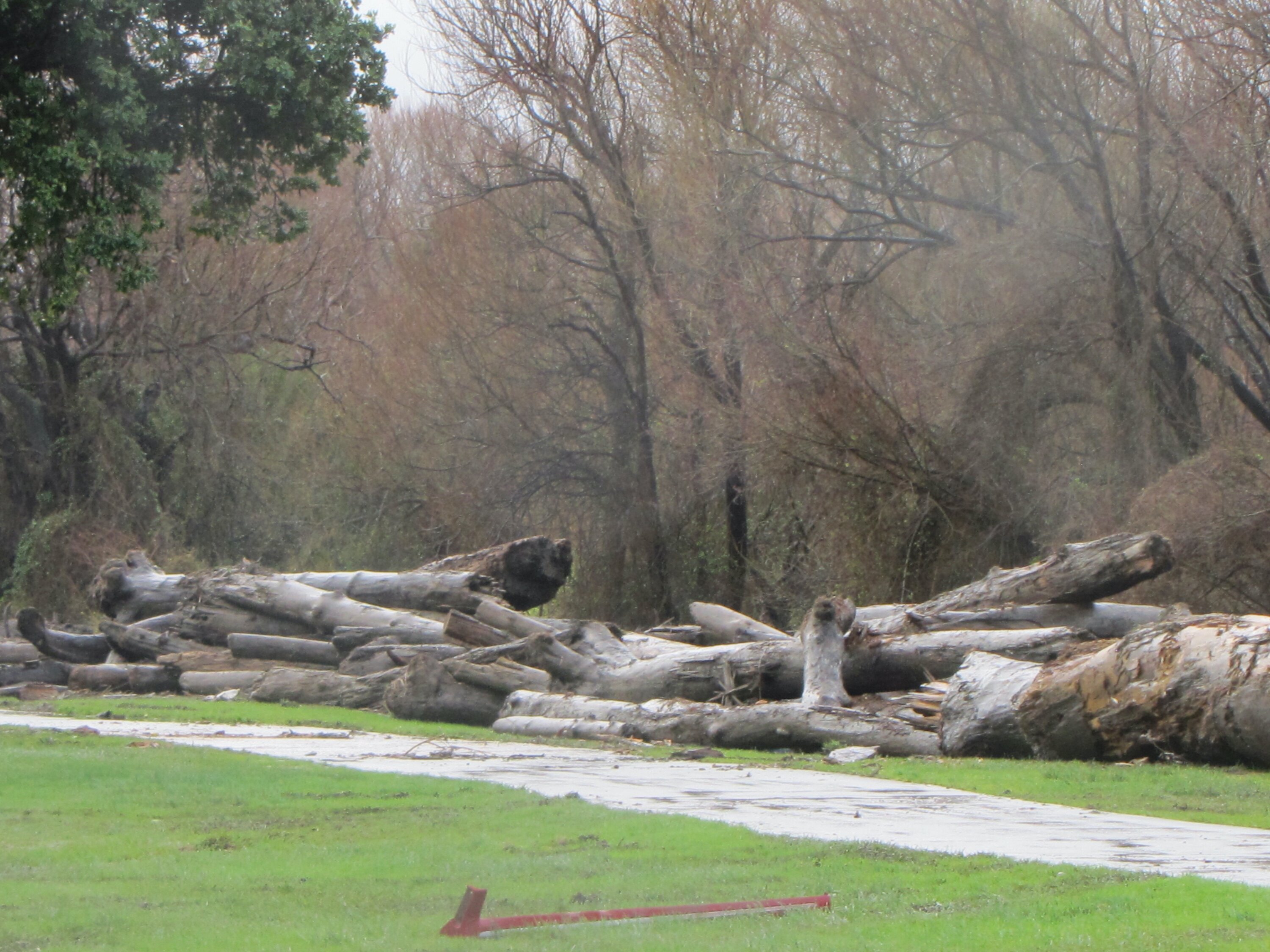 Slash from Cyclone Gabrielle that was remobilised on Kopu Rd during flooding in Wairoa on Wednesday. Photo / Ann Revington