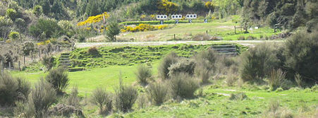 The Bruce Rifle gun club. Photo / supplied