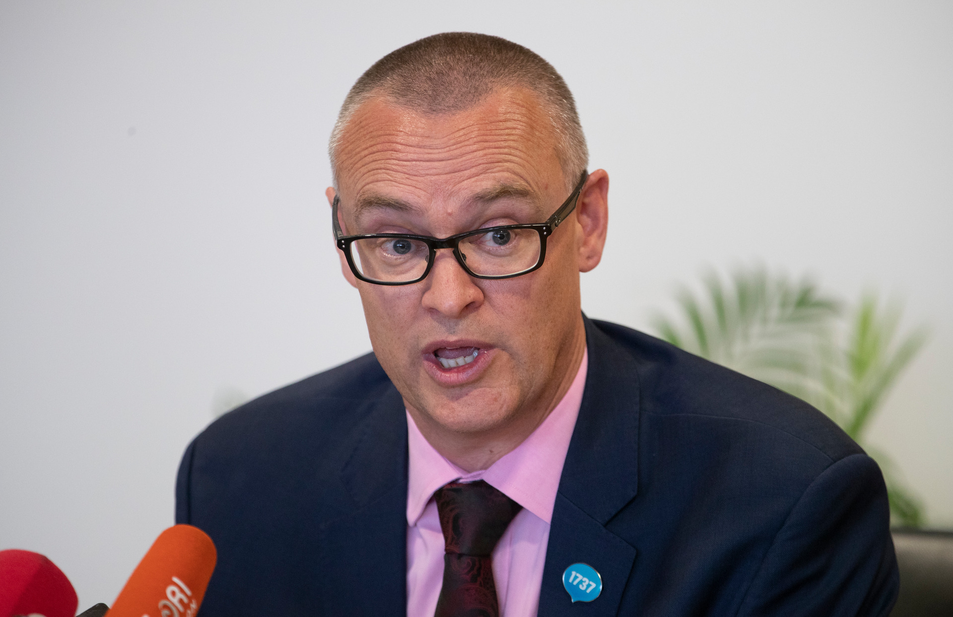 Health Minister David Clark is yet to respond the report of the Government inquiry into Mental health and Addiction. Photo / Mark Mitchell