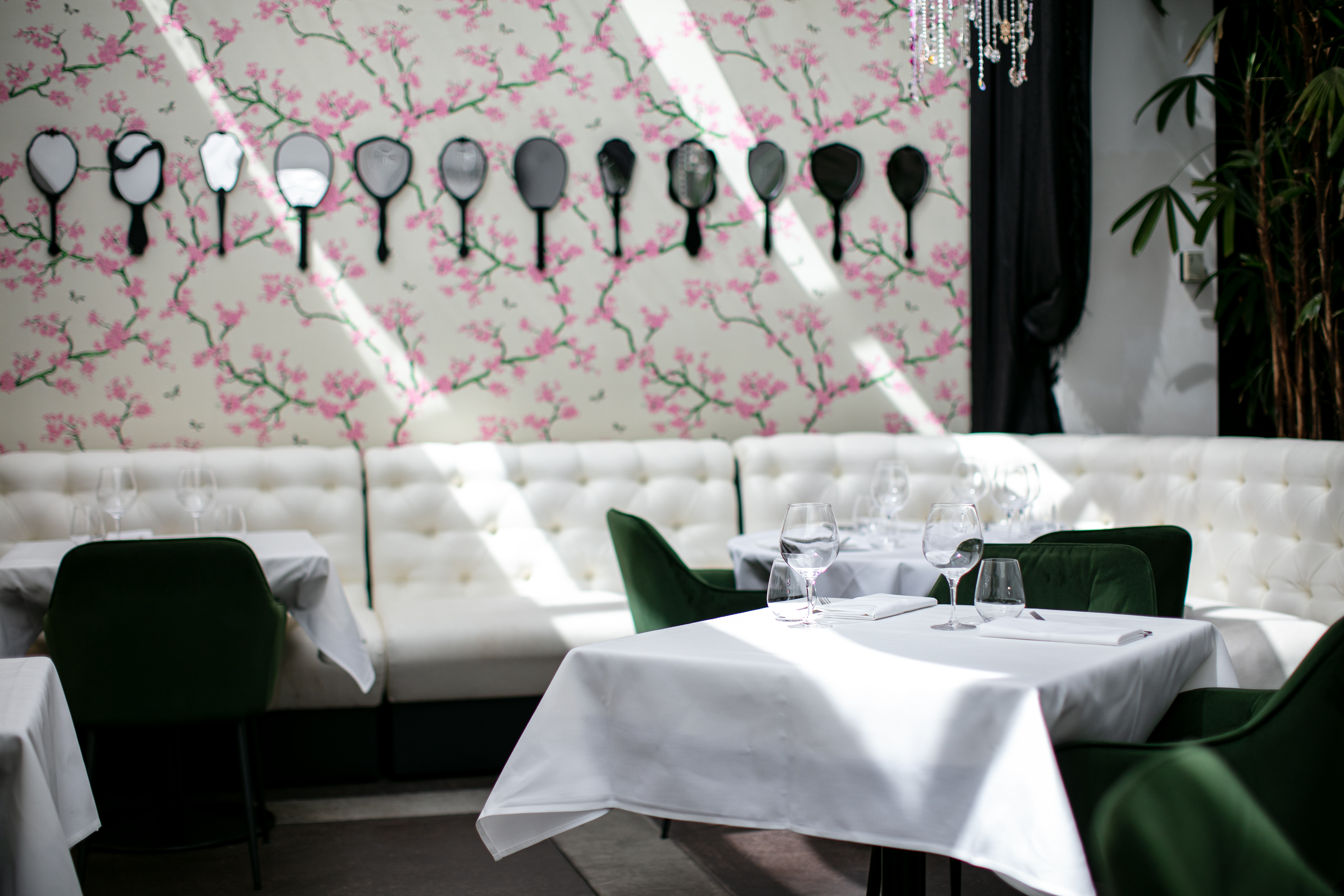 Cibo restaurant in Parnell. Photograph / Babiche Martens