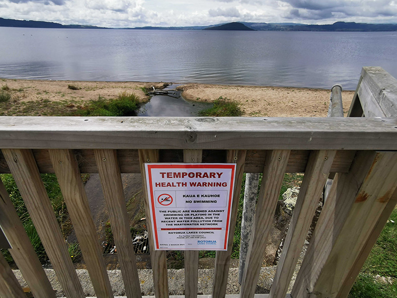 Temporary health warning signs have been erected on the shores of Lake Rotorua.  Photo / Andrew Warner