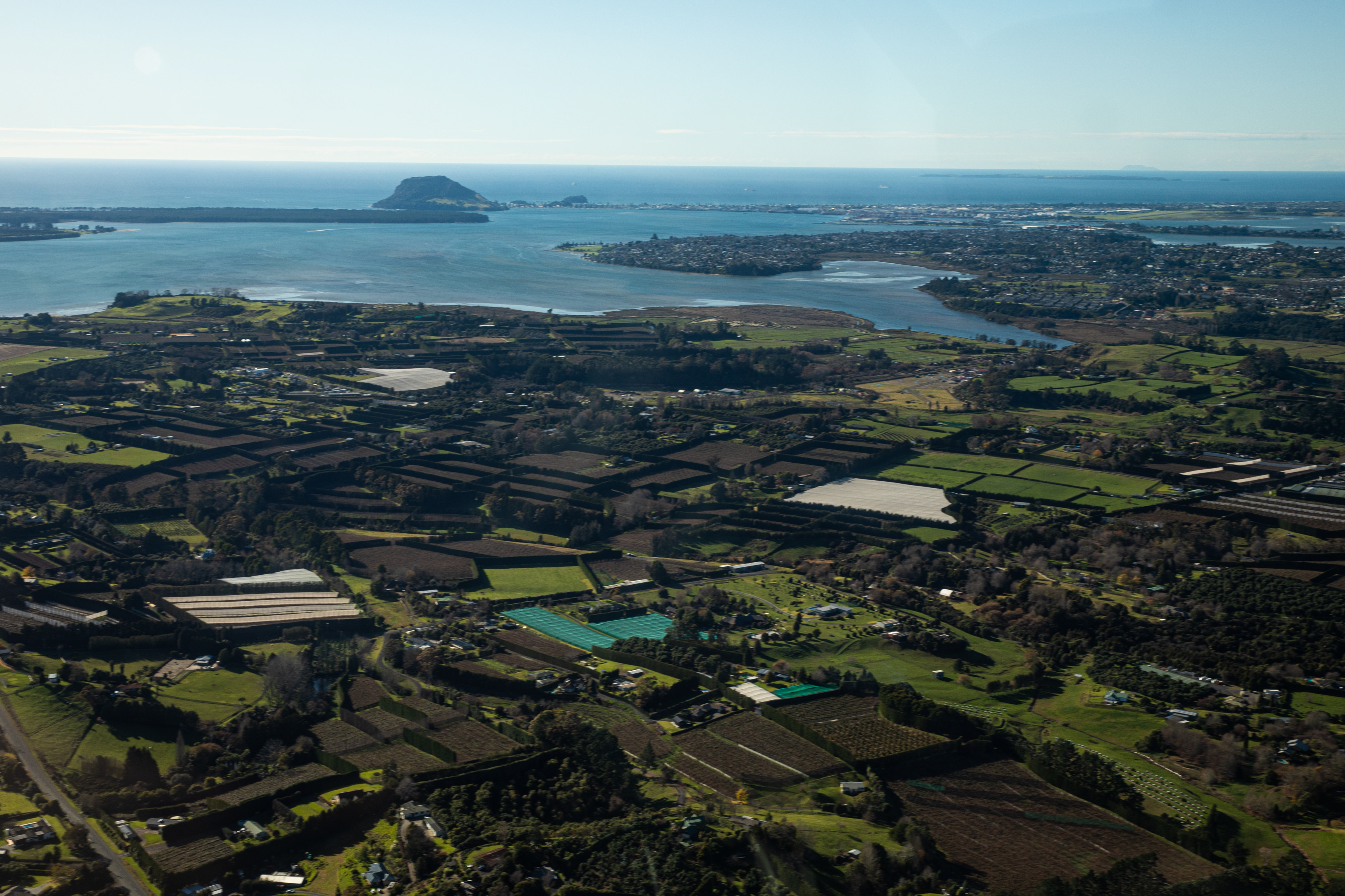 Investment in the Wetsern Bay of Plenty's horticultural sector was strong in 2024. Photo / Mead Norton