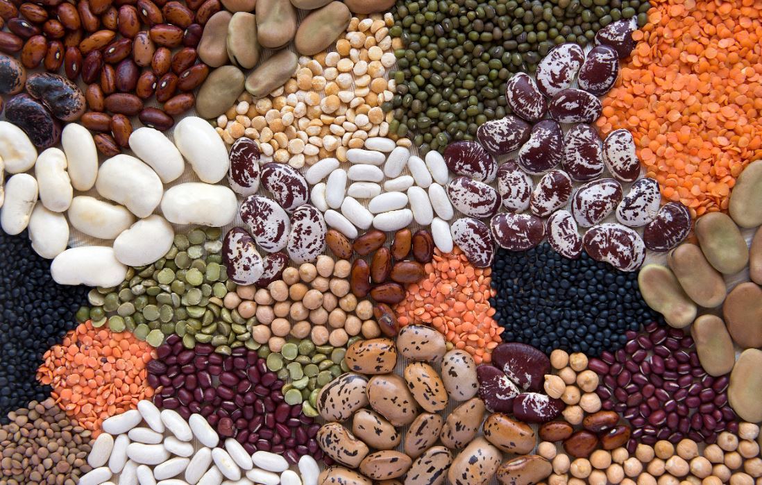 The so-called Blue Zones in the world - the places where people enjoy the best health and live the longest - are all about the pulses. Photo / Getty Images