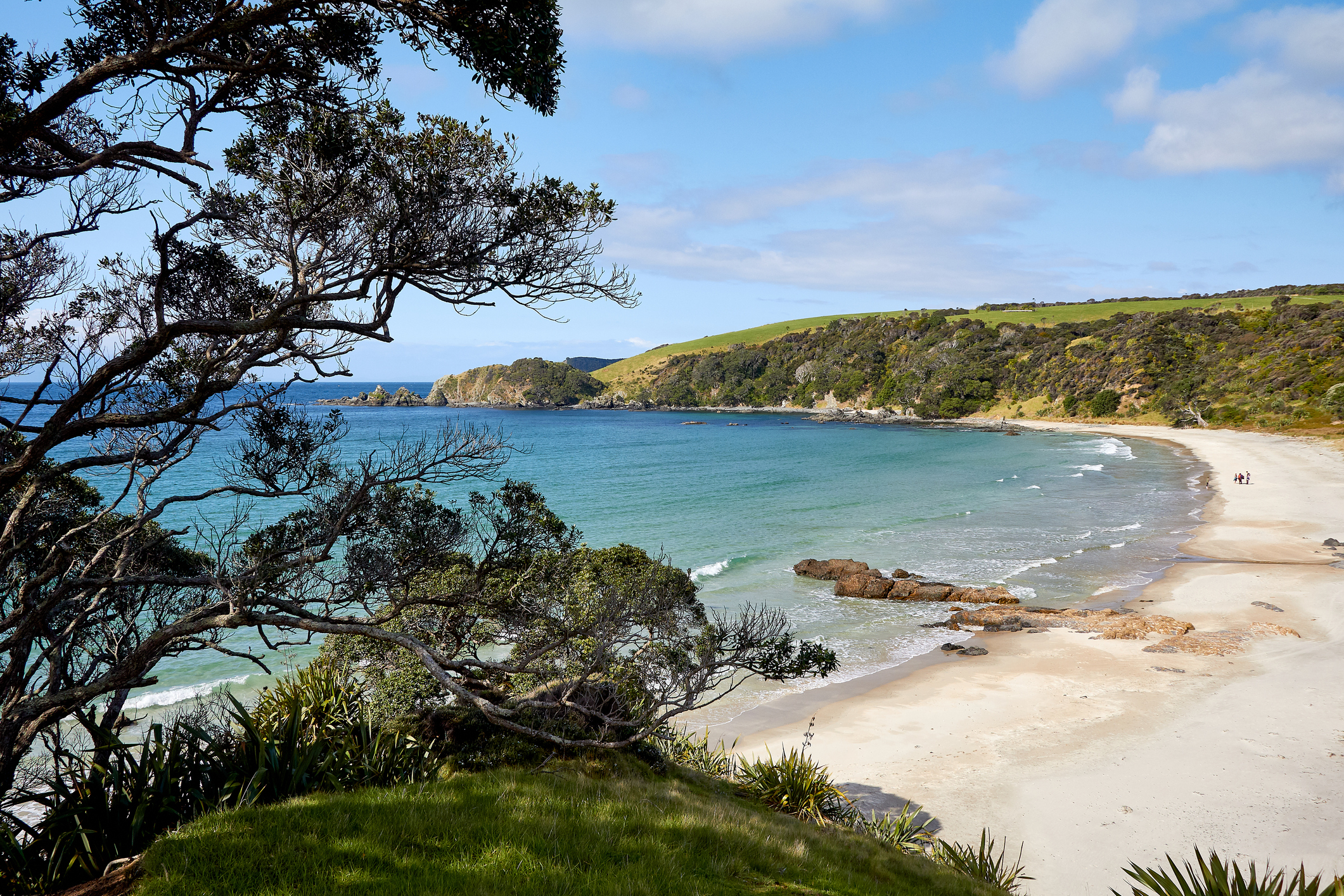 Slivers of golden sand at Auckland's Tāwharanui regional park. Photo / Getty Images