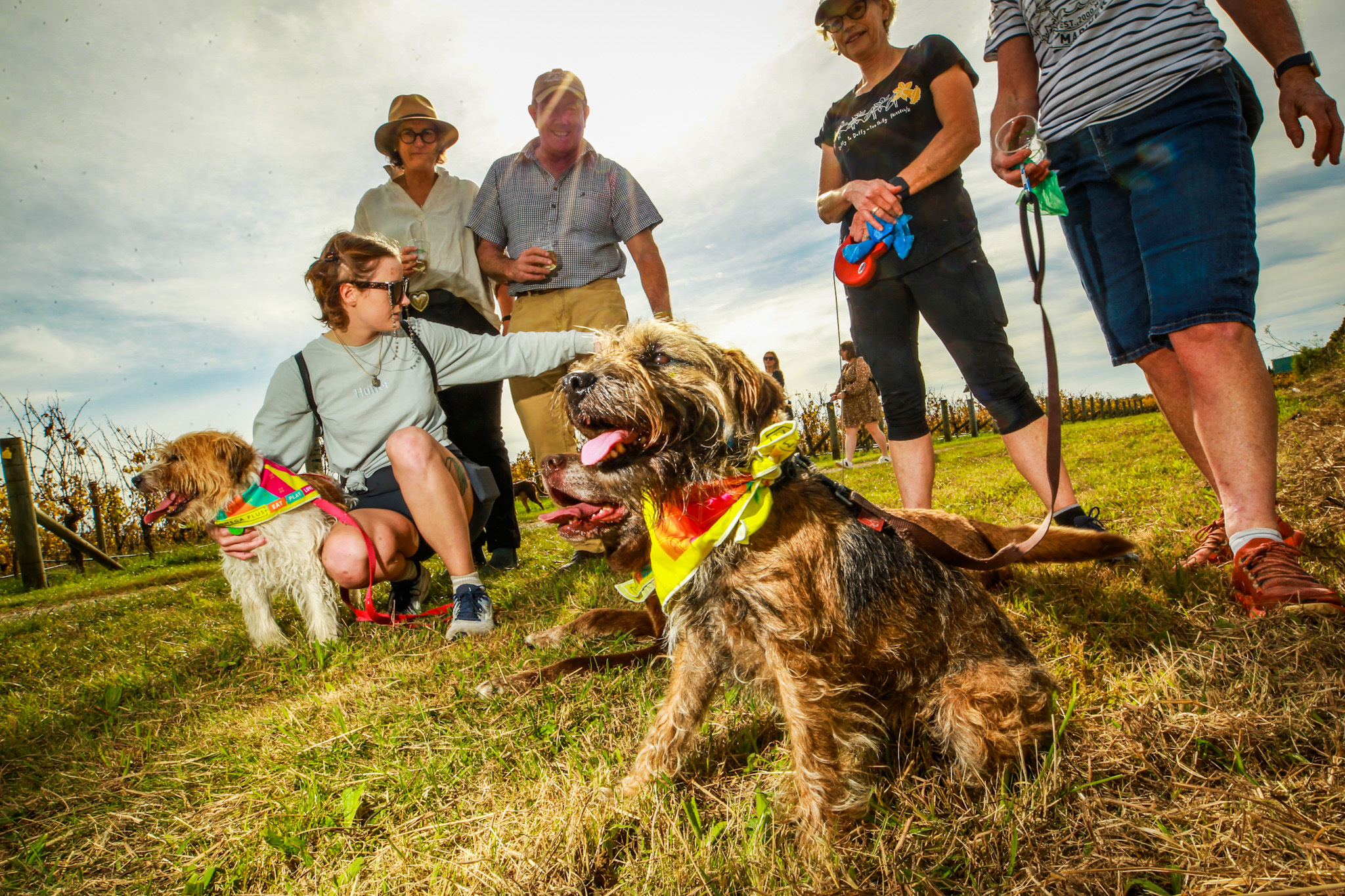 Ted with the Lloyd family at Wine Dogs. Photo / Paul Taylor