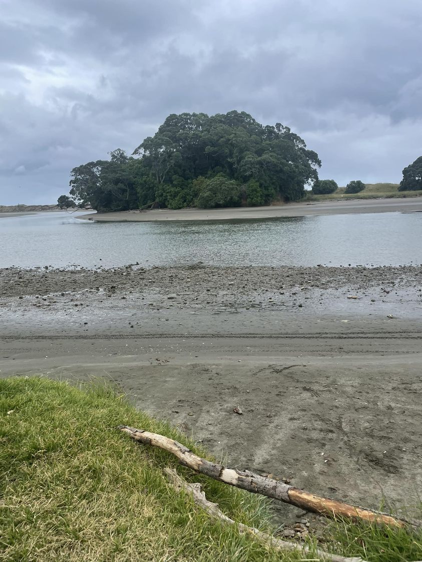 A picture of the estuary. Photo / Supplied