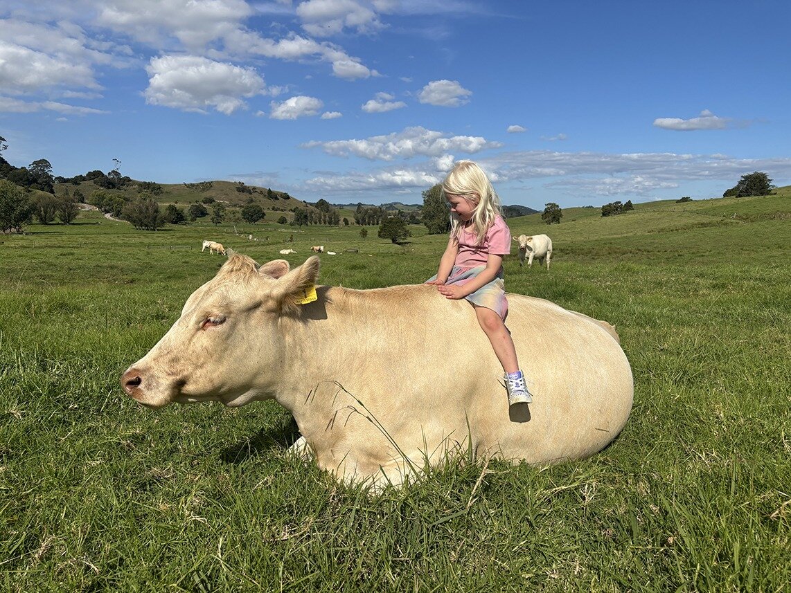 Freya Ann Hoggard, aged 4, sitting on 5ft Farmers Hearts Stolen.