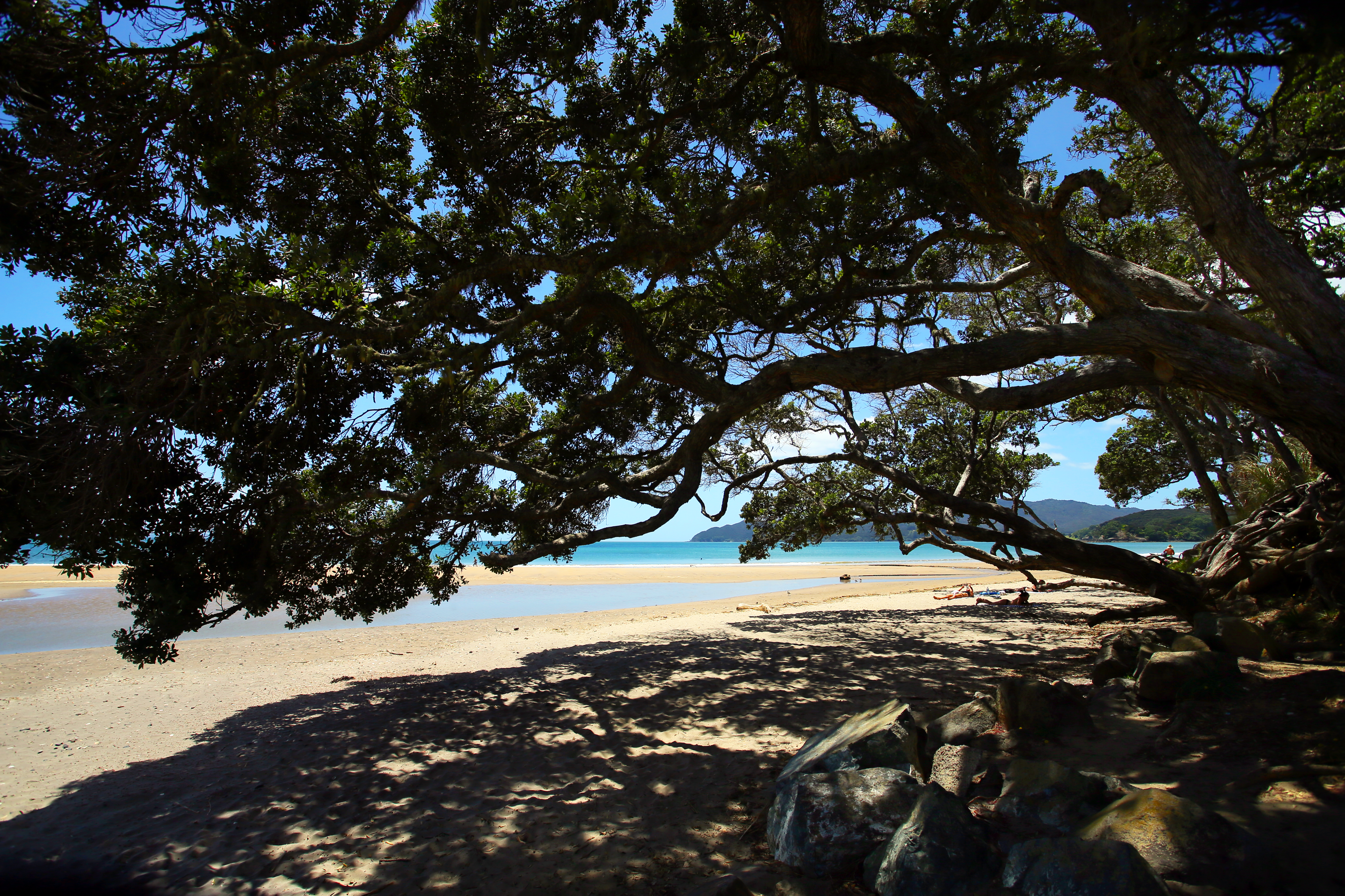 Coopers Beach/Koekoea in Doubtless Bays is one of the best beaches in Northland because of its pōhutukawa. 