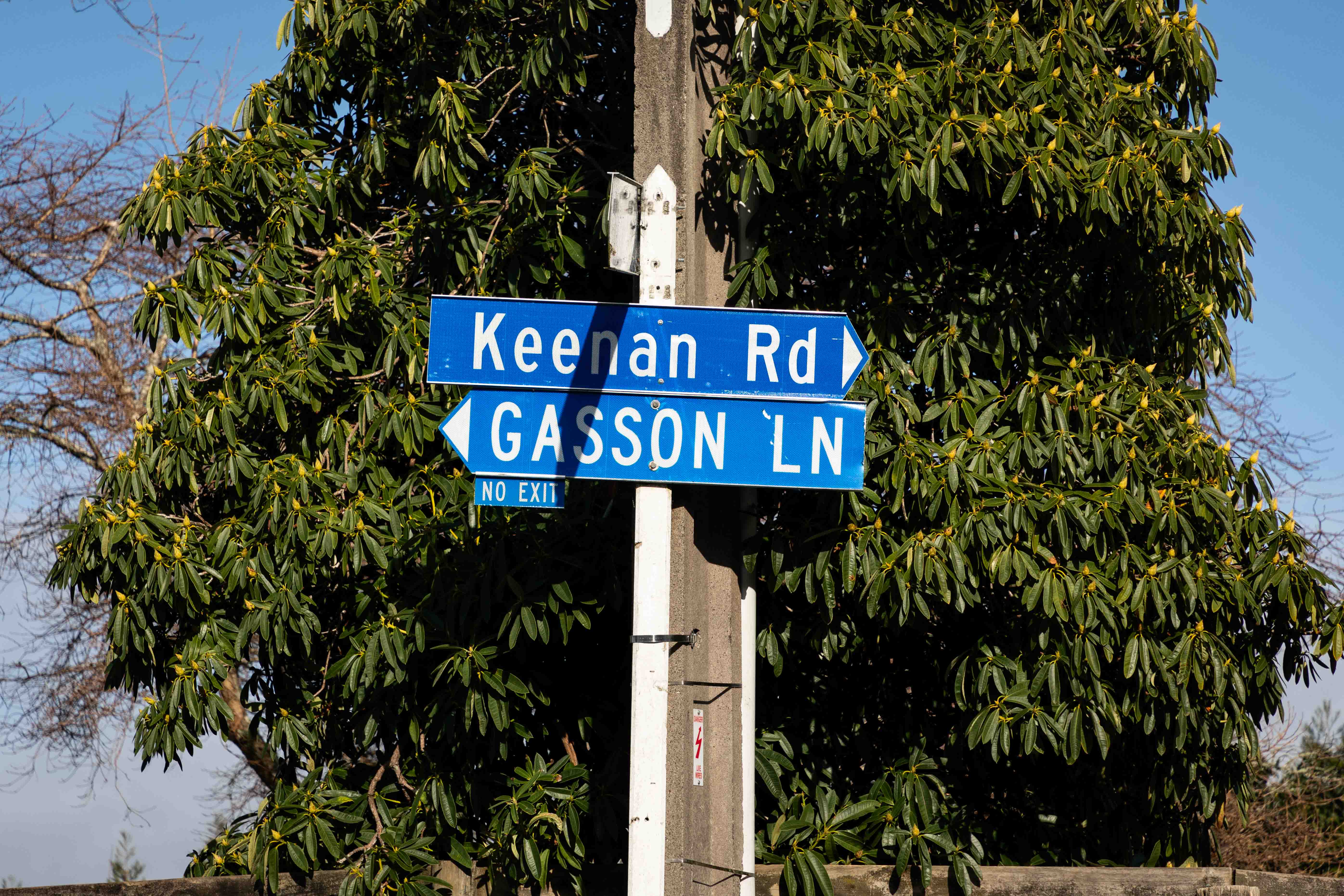 Keenan Rd and Gasson Lane in Pyes Pā are in the Western Corridor area being assessed. Photo / Alex Cairns