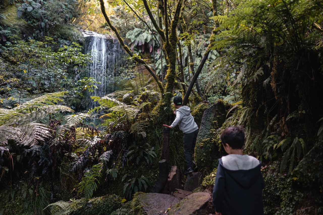 Nicholl's Falls in Dunedin's Leith Valley is a surprising find in a city better known for its urban adventures. Photo / Dunedin NZ 
