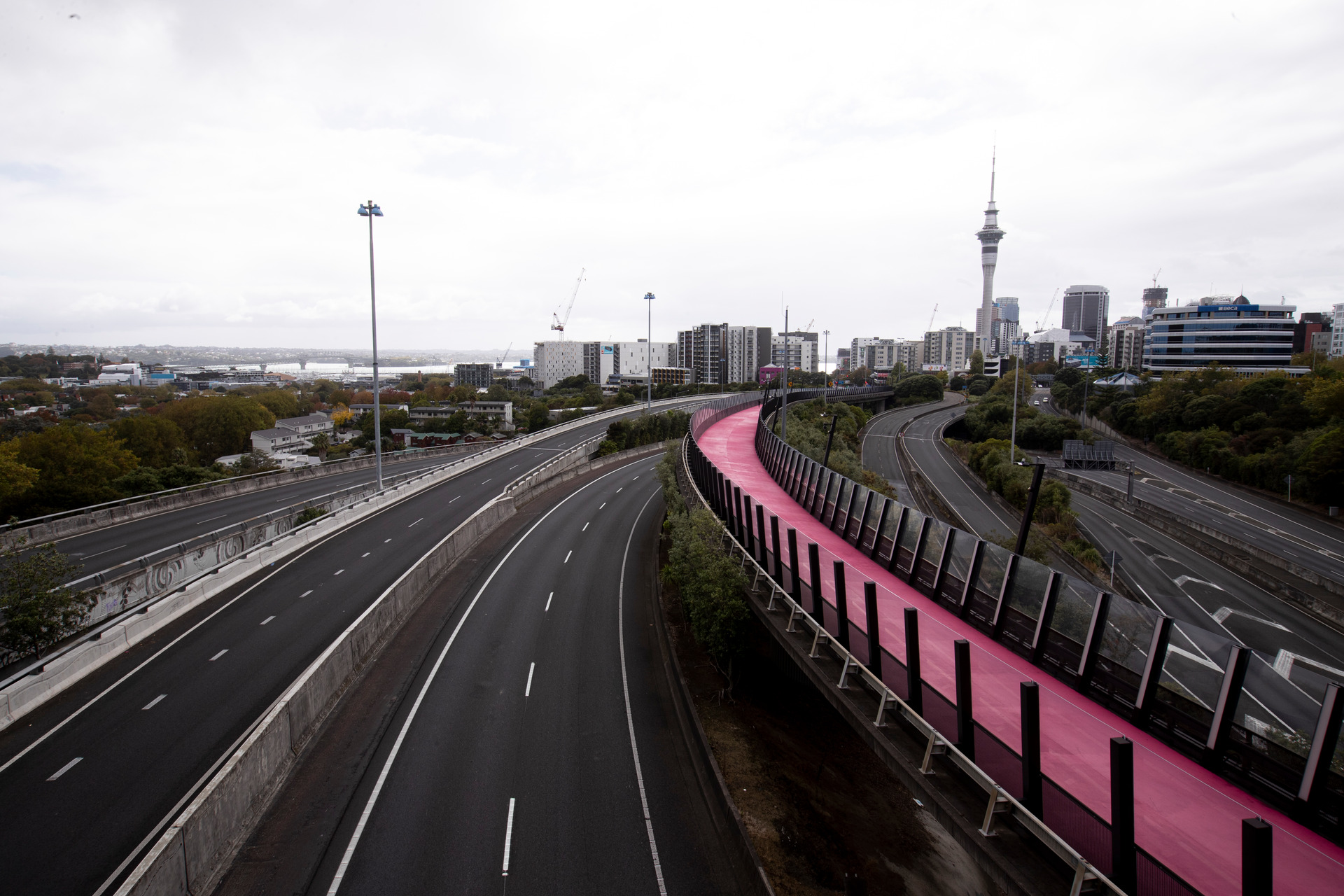 The lockdown saw the greatest restrictions on Kiwis' movements in modern history. Photo / Dean Purcell