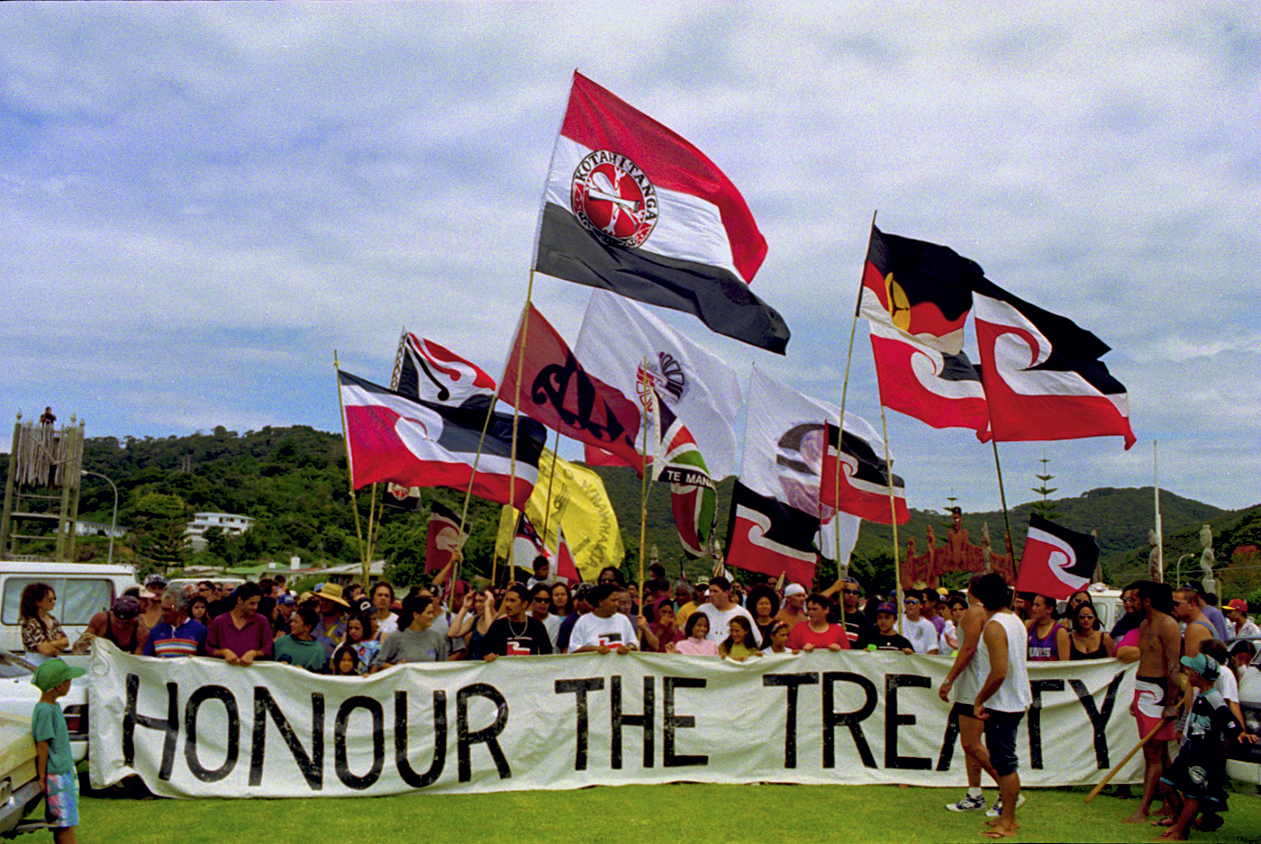 Protesters have long been an integral part of Waitangi Day. Photo / John Miller