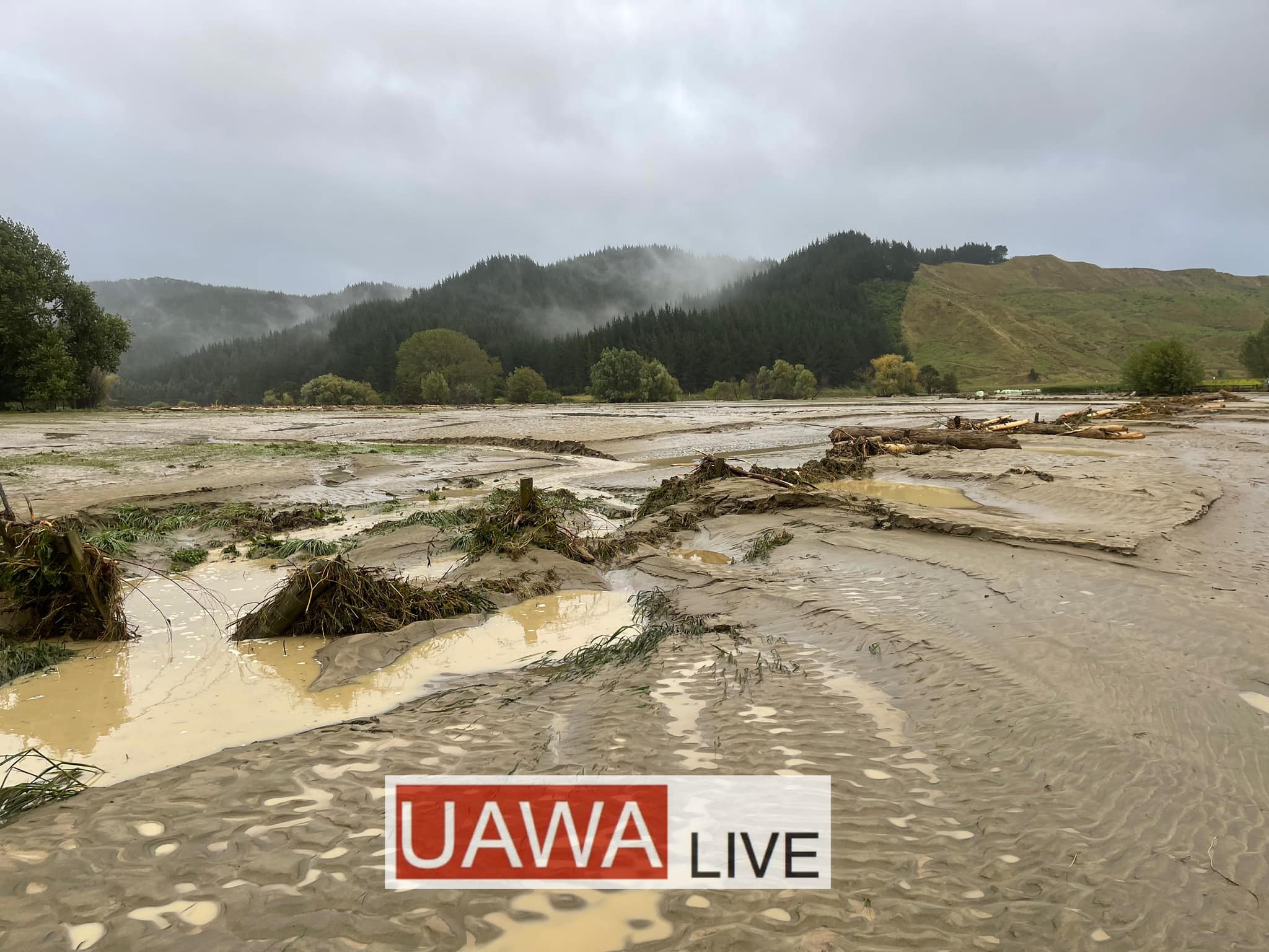 Paroa Rd in Tolaga Bay, covered in silt and slash on the morning of Friday 14 February 2023.  Photo / Uawa Live