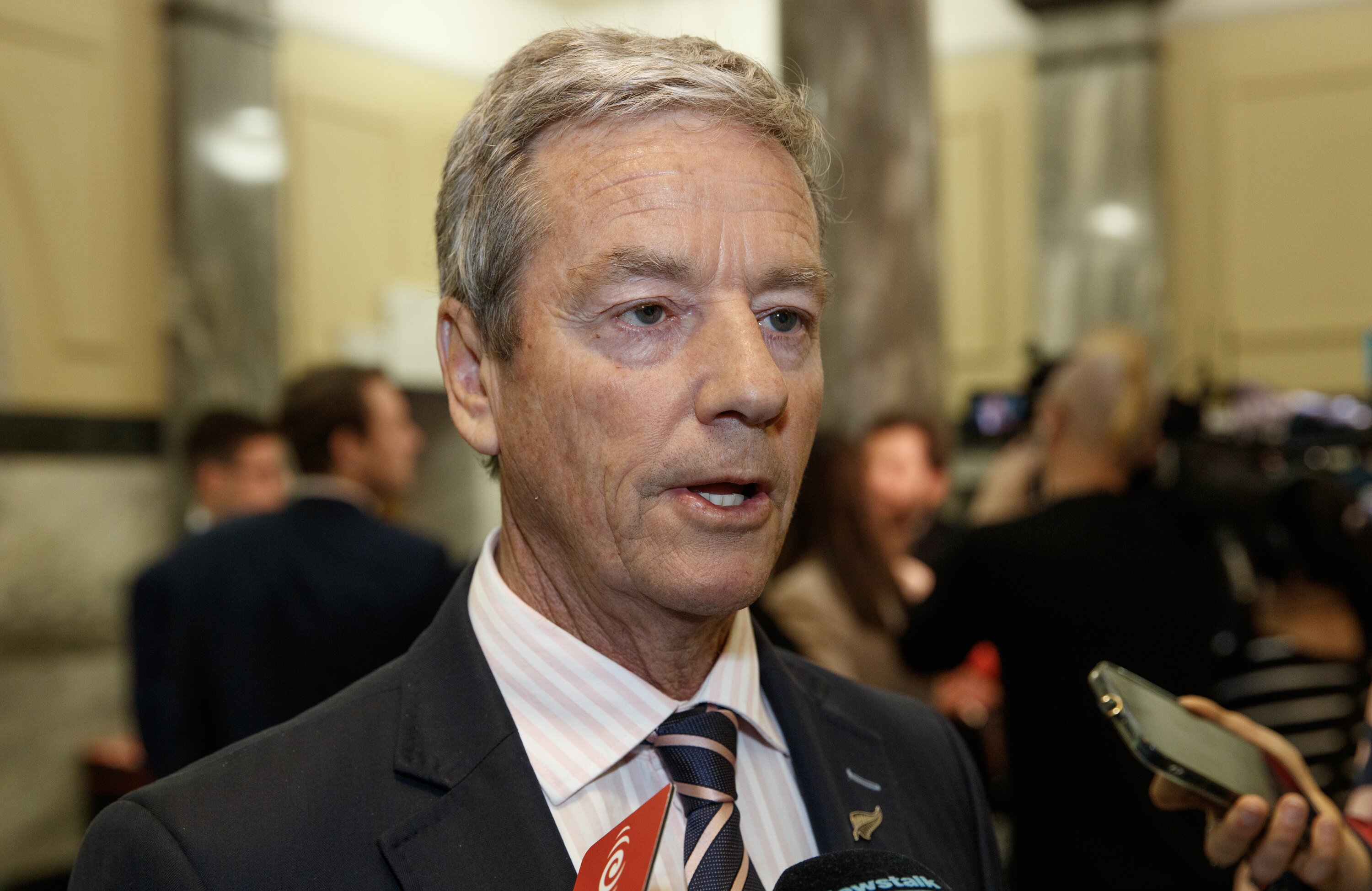 Andrew Bayly at Parliament last week. Photo / Mark Mitchell