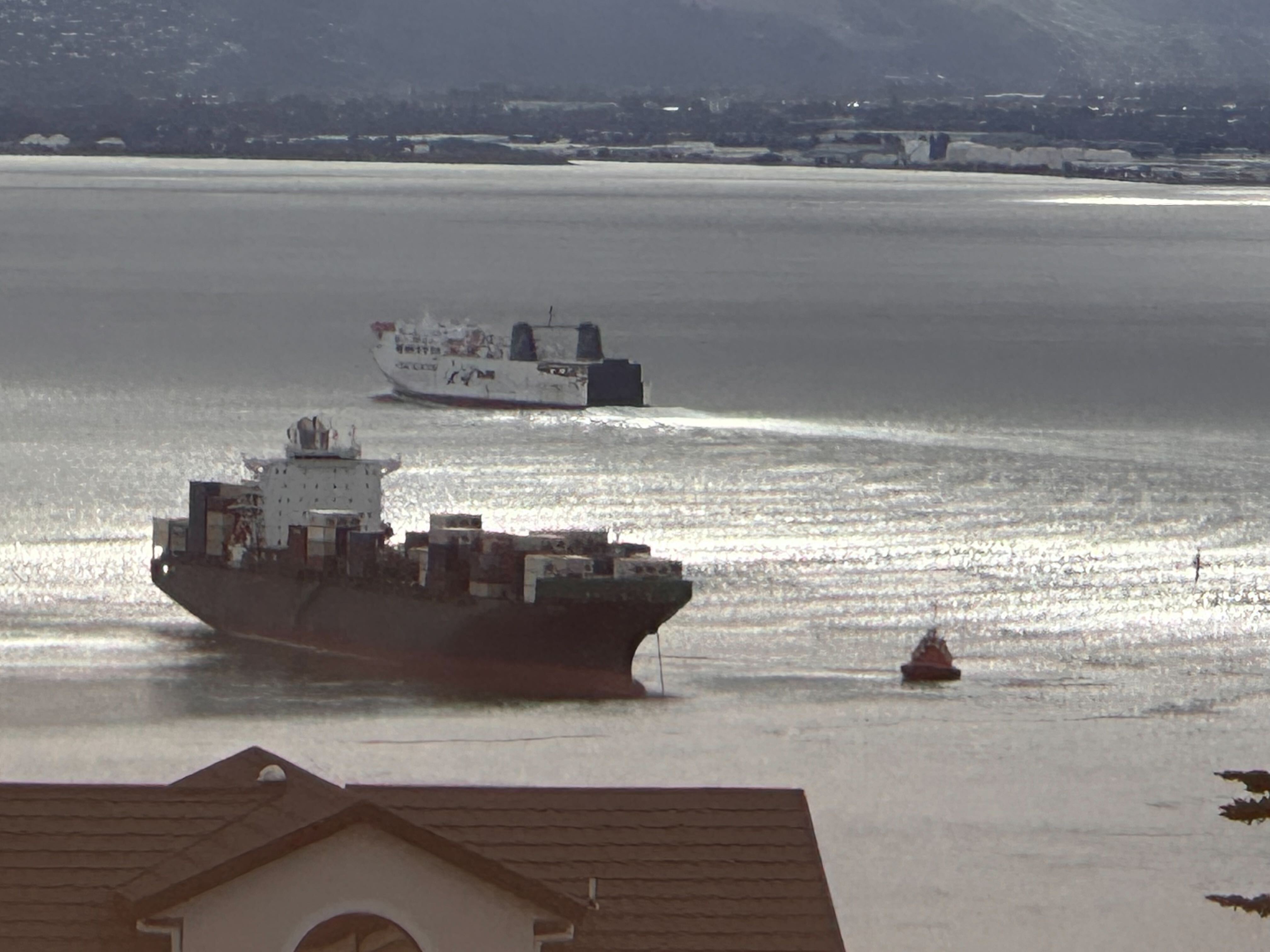 The Shiling container ship lost power in Wellington's main shipping channel last month. Photo / Daran Ponter