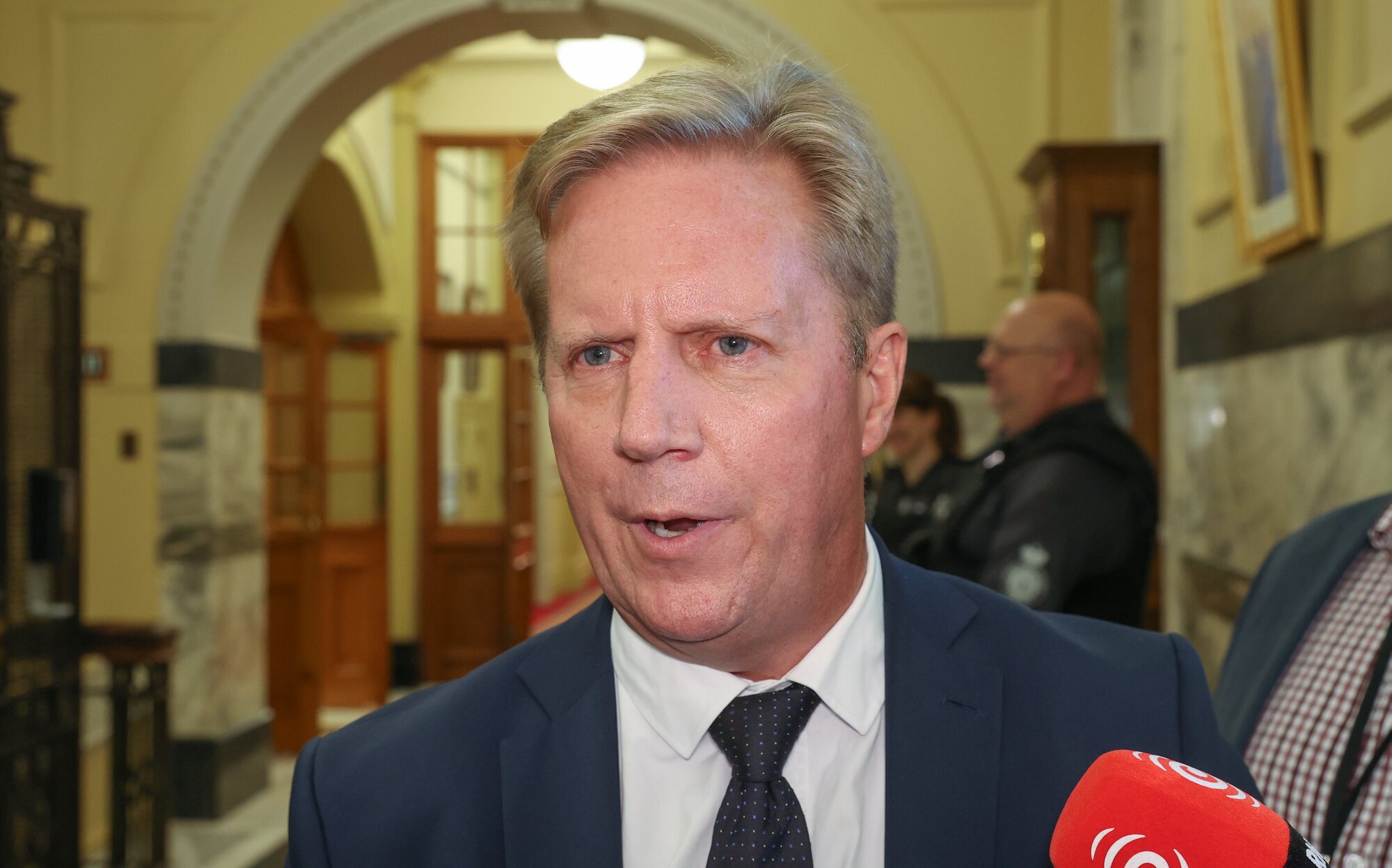 Trade Minister Todd McClay has disputed claims from Winston Peters. Photo / Mark Mitchell
