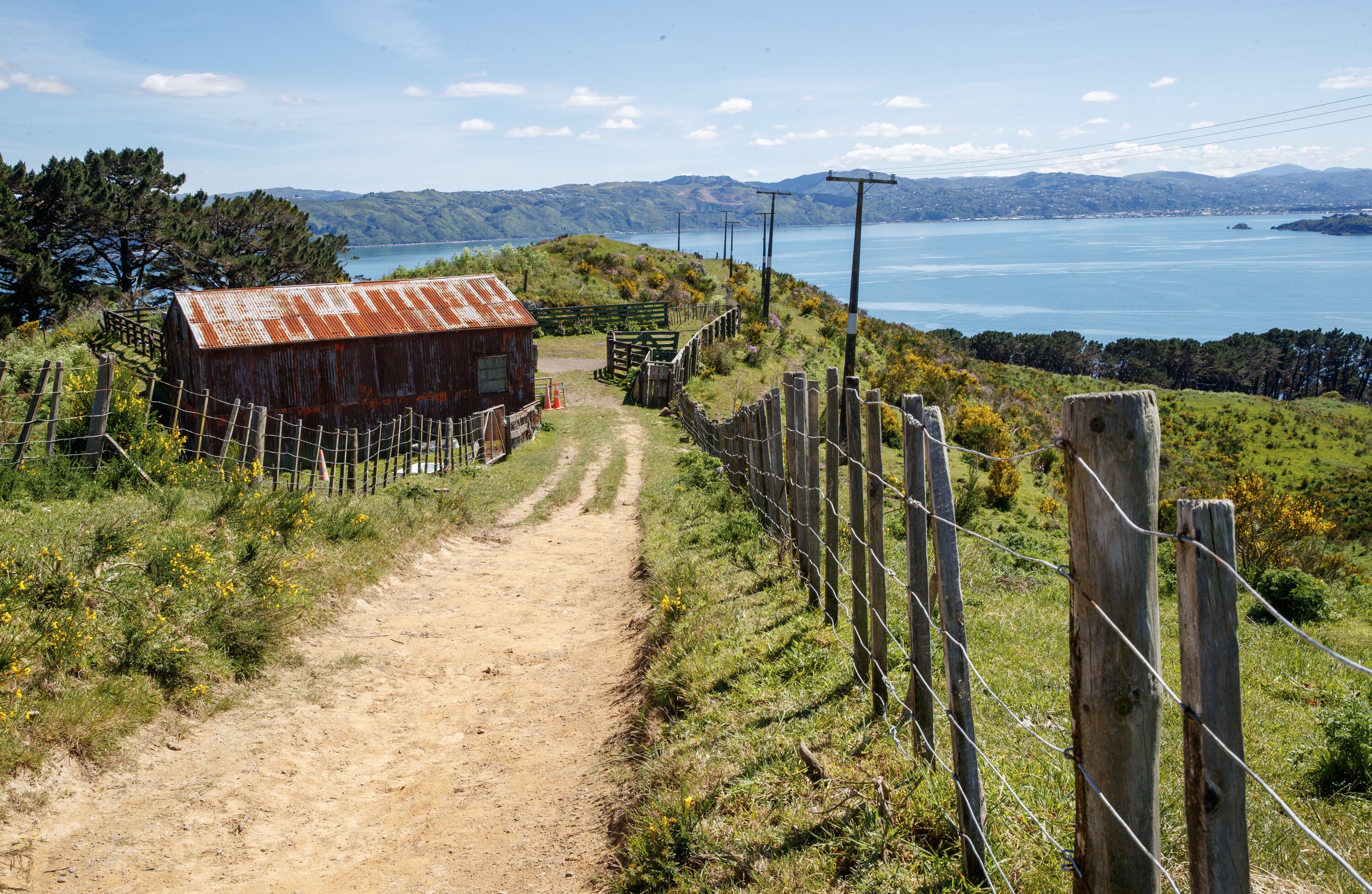 The area is already popular for recreation with well-used walking tracks, a community garden, and a small farm which hosts school visits. Photo / Mark Mitchell