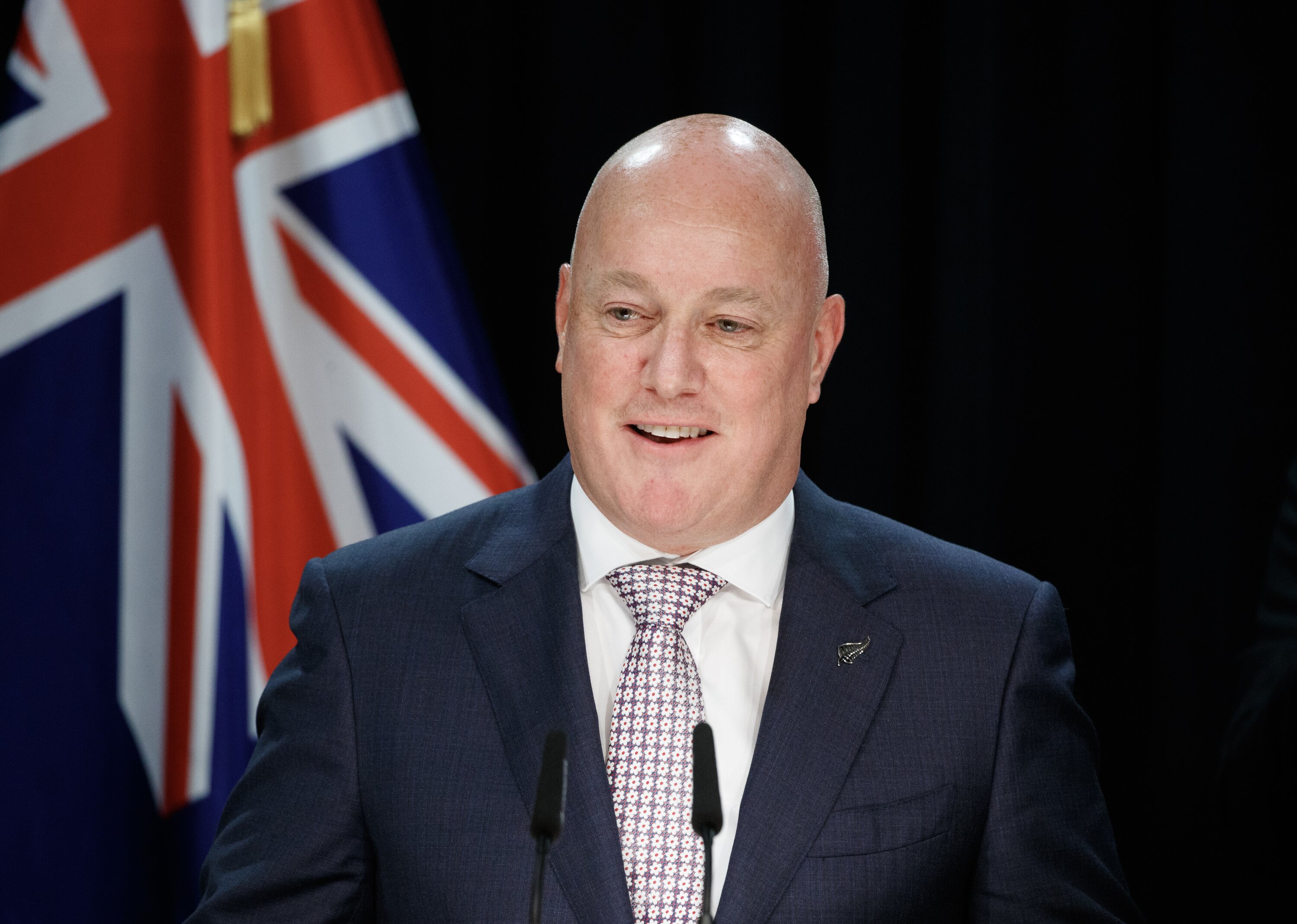 Prime Minister Christopher Luxon. Photo / Mark Mitchell
