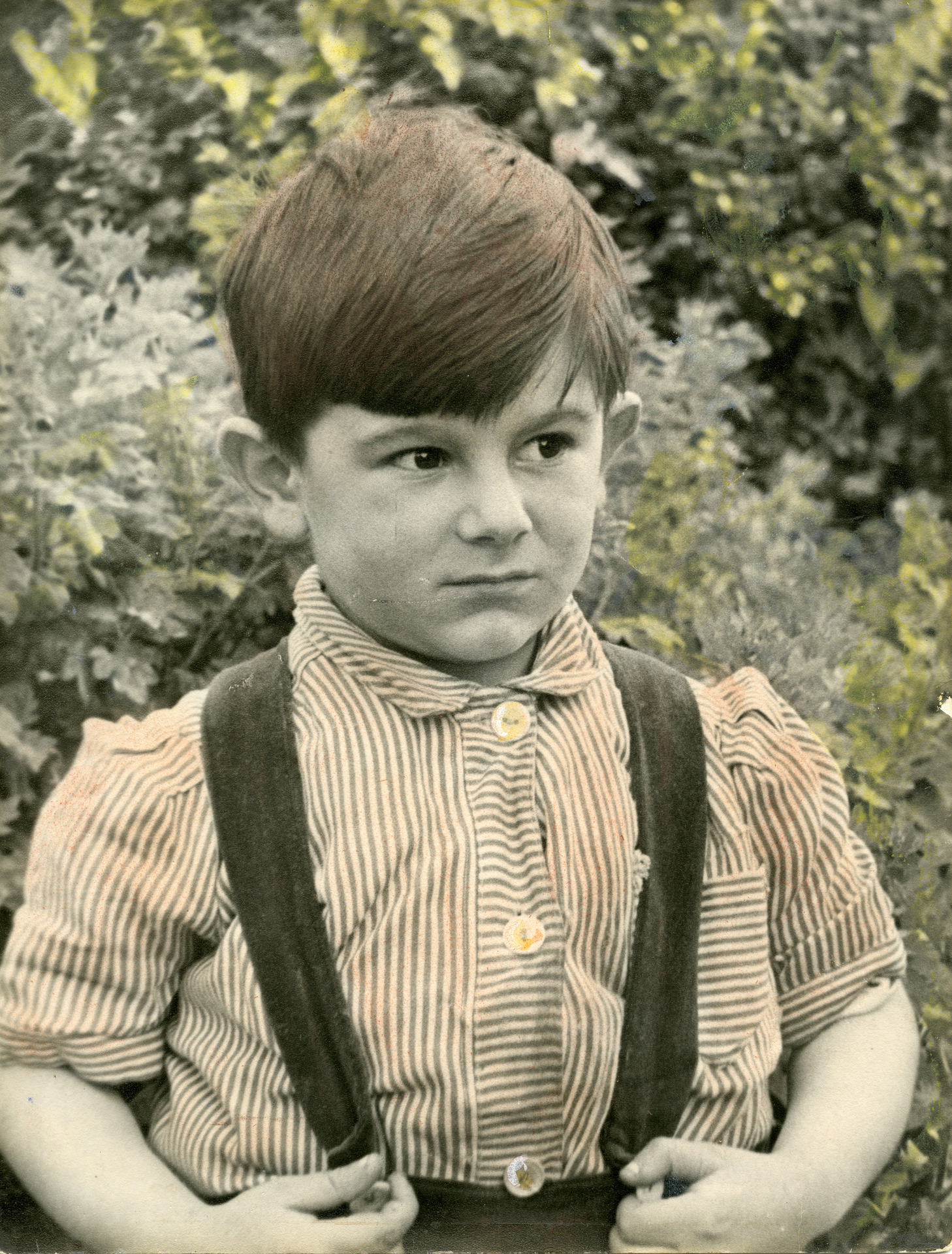 Ronald David Wood aged 4 in 1951, taken at his home in West London. Photo / Getty