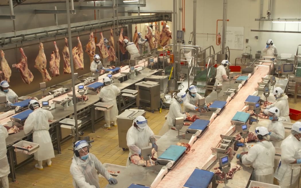 The Alliance Group meatworks in Southland. Photo / RNZ / Nathan McKinnon