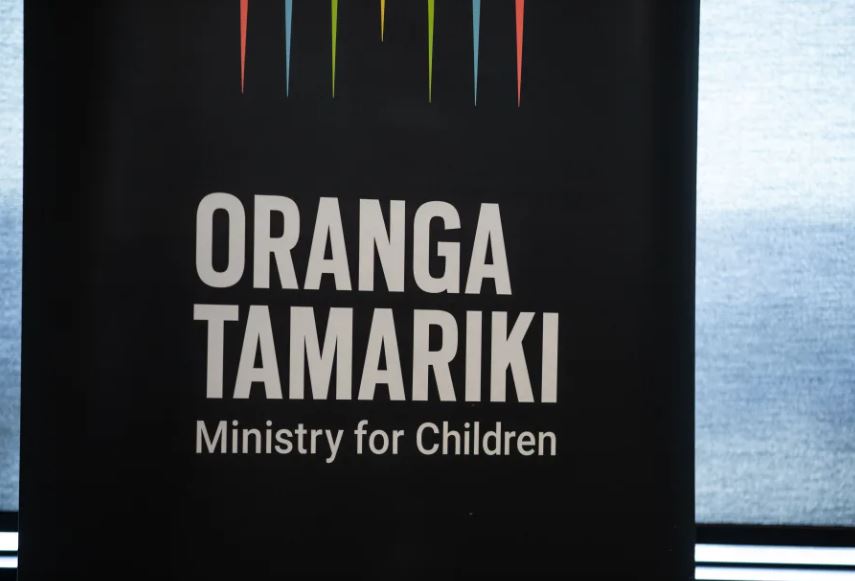 The Parliament Social Services and Community Committee is hearing submission into the repeal of section 7AA from the Oranga Tamariki Act. Photo / RNZ