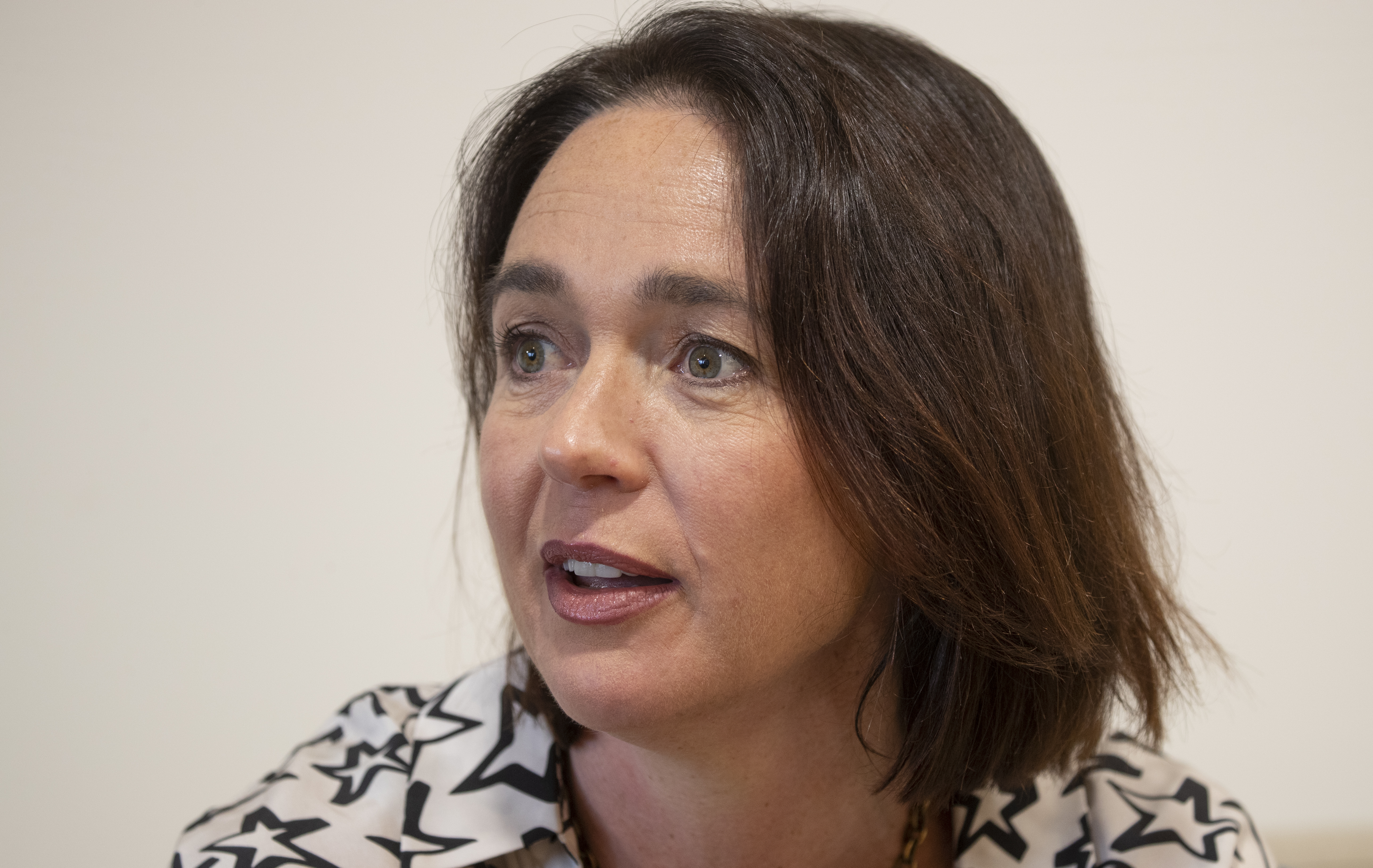 Labour's spokeswoman for police Ginny Andersen. Photo / Mark Mitchell