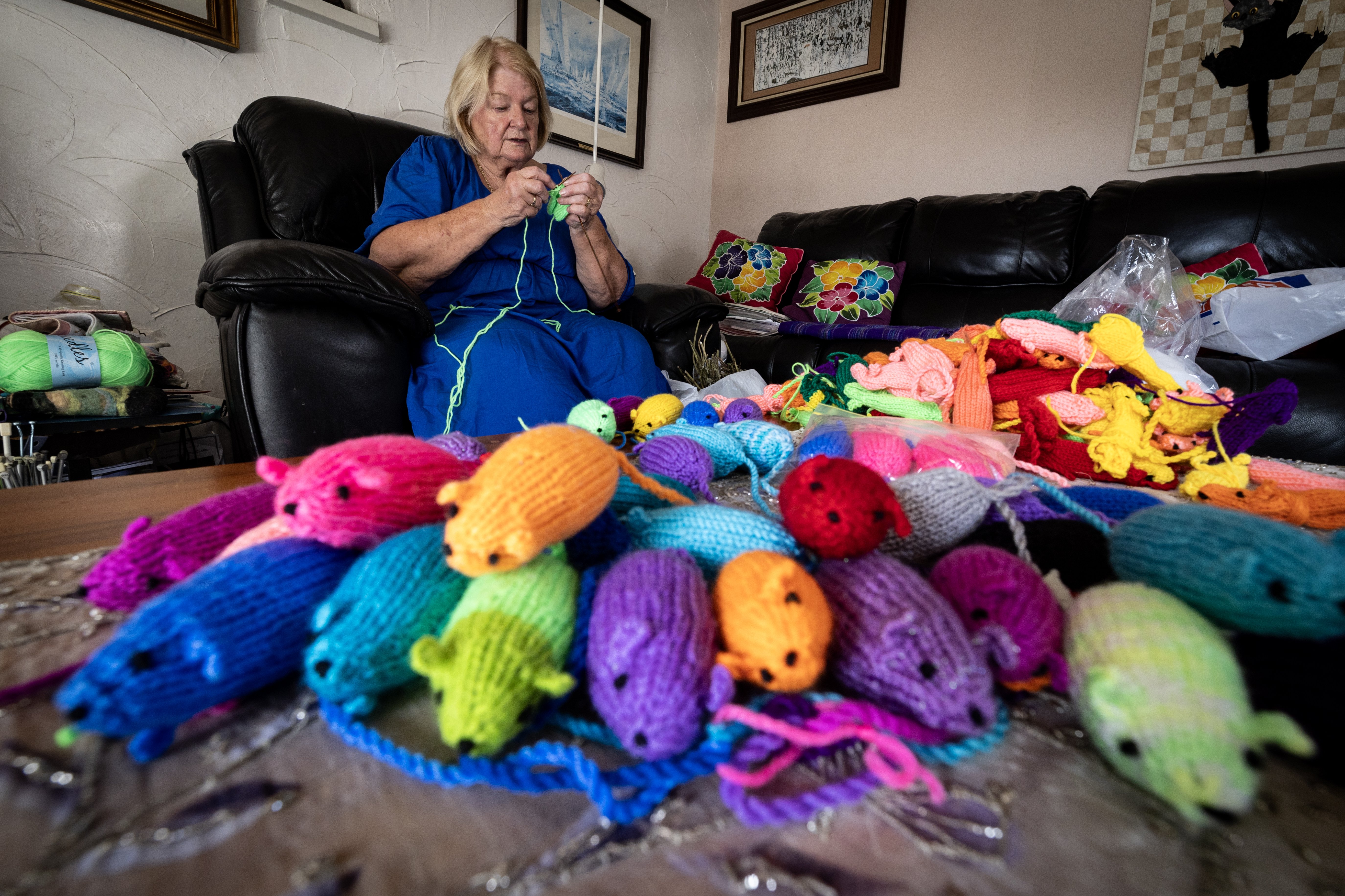 Cheryll Clark spends her evenings knitting mice she sells for $5, to raise funds for son Simon's blood cancer medicine. Photo / Jason Oxenham