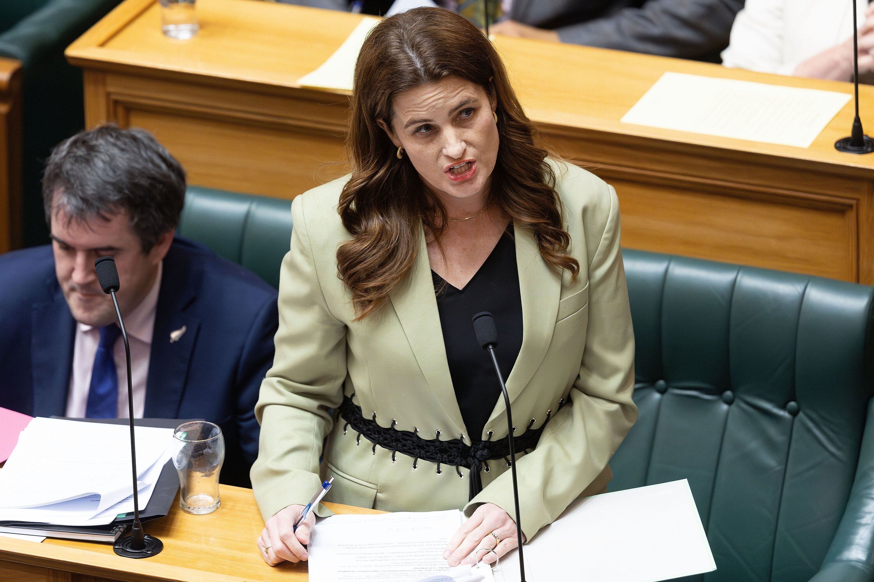 Minister of Finance. Photo / Marty Melville