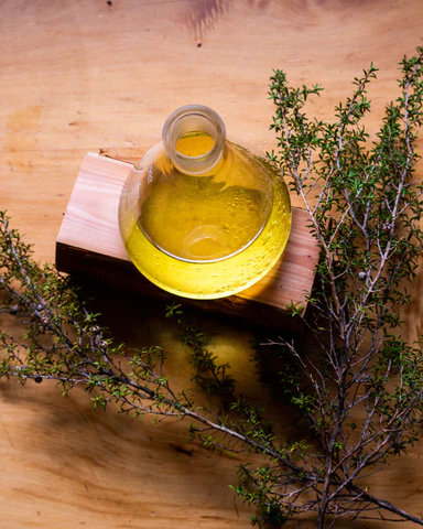 Rory Hill's distilled mānuka oil. Photo / Blackfern Botanicals