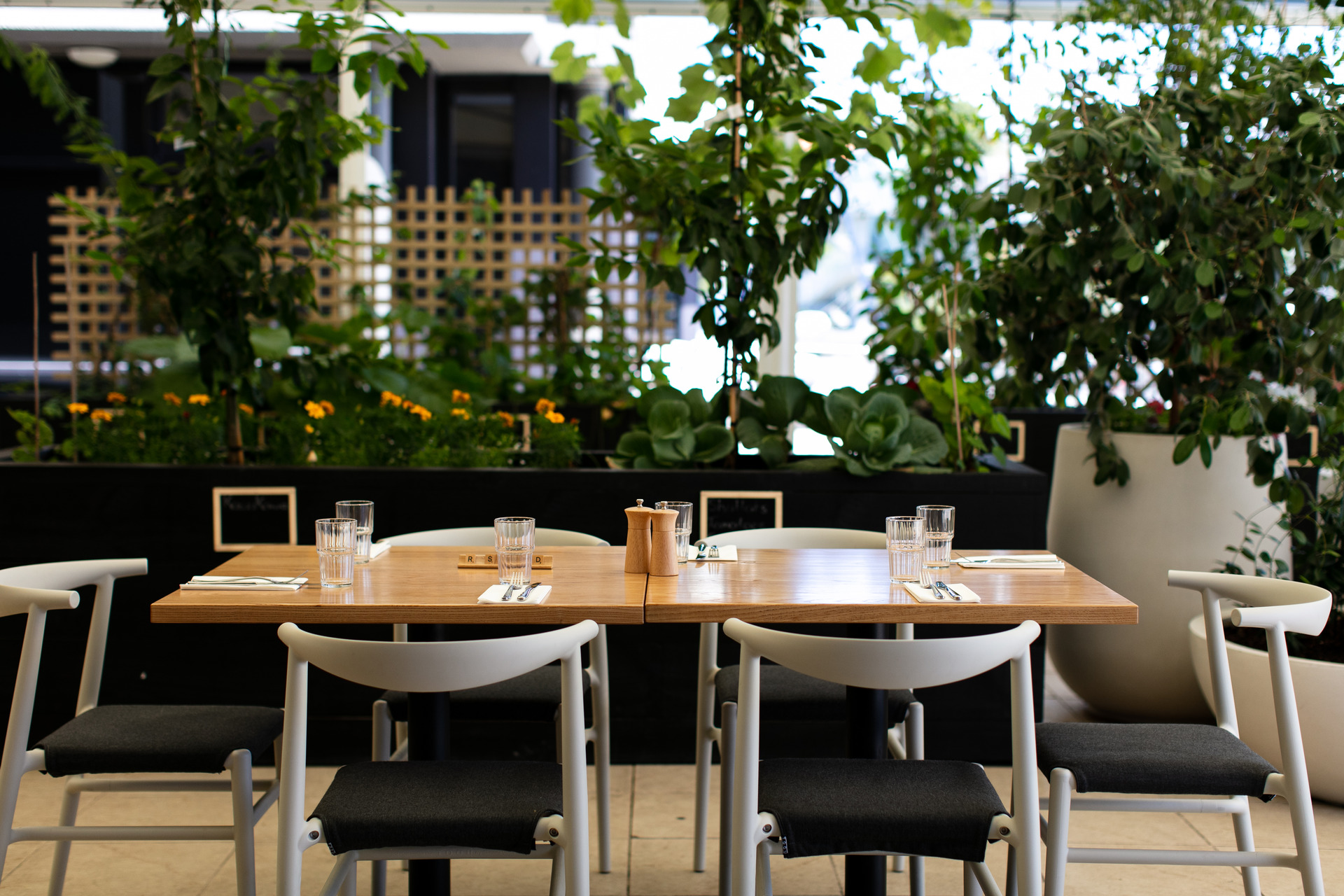 Garden dining at Peter Gordon's Homeland. Photo/Babiche Martens