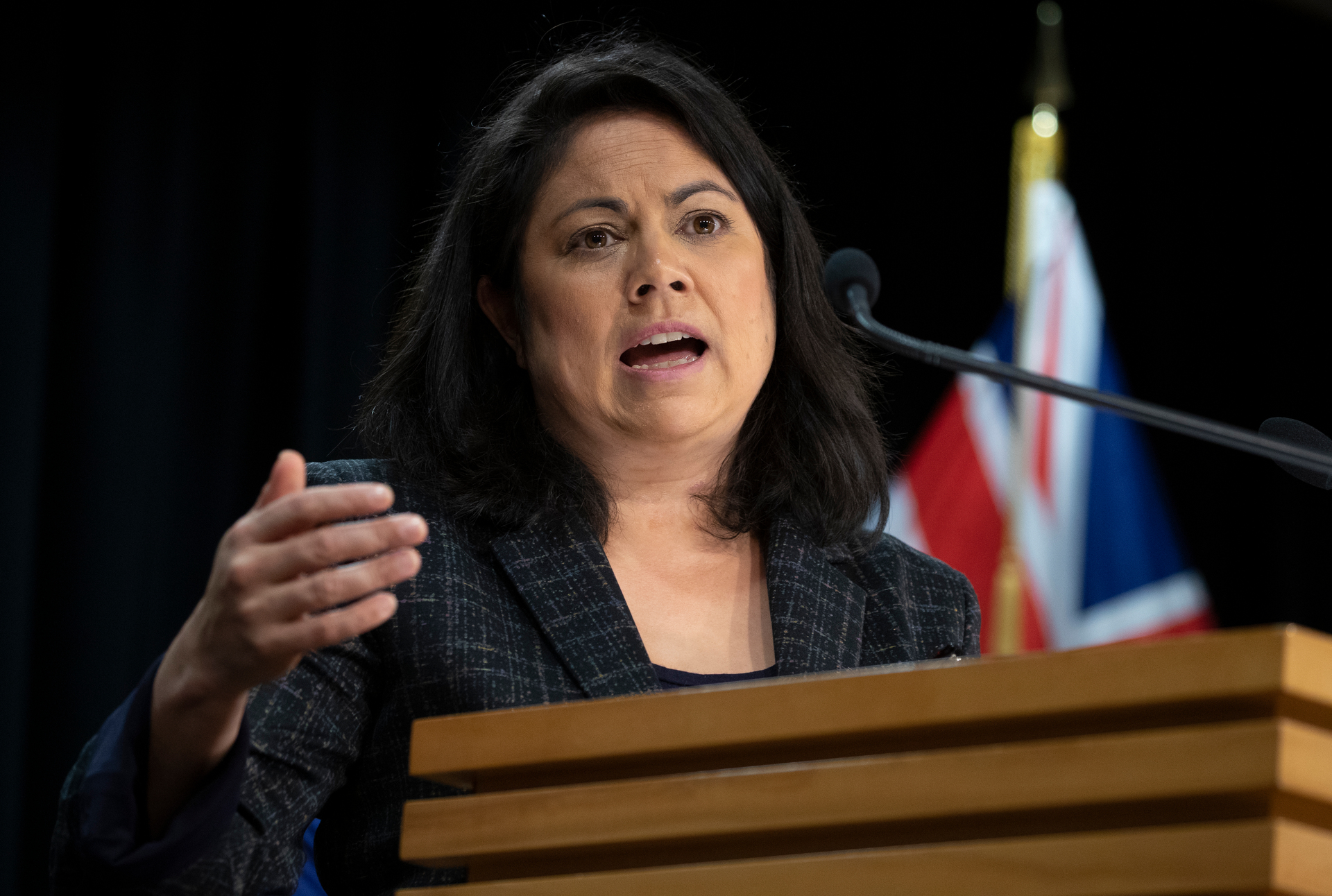 Associate Health Minister Dr Ayesha Verrall. Photo / Supplied 