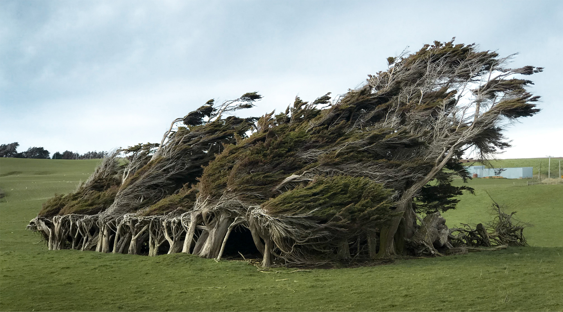Don't get blown away at Slope Point. Photo / The Flains Travel