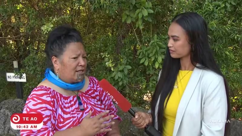 Mariameno Kapa-Kingi on Whakaata Māori
