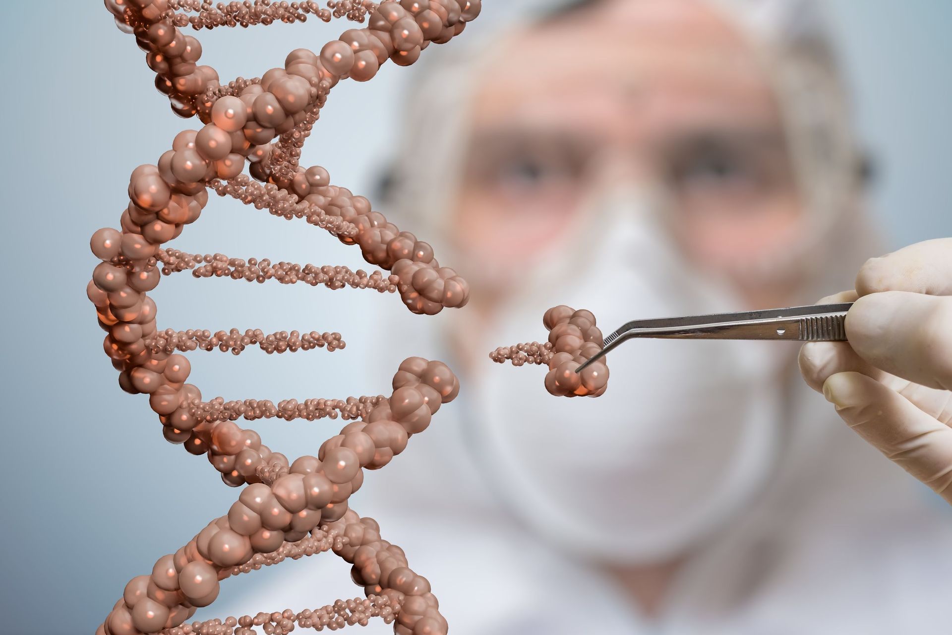 Since 2003, GE and genetically modified organisms have been tightly controlled by the Hazardous Substances and New Organisms Act - and there have been growing calls from the biotech sector for a legal review. Photo / 123RF

