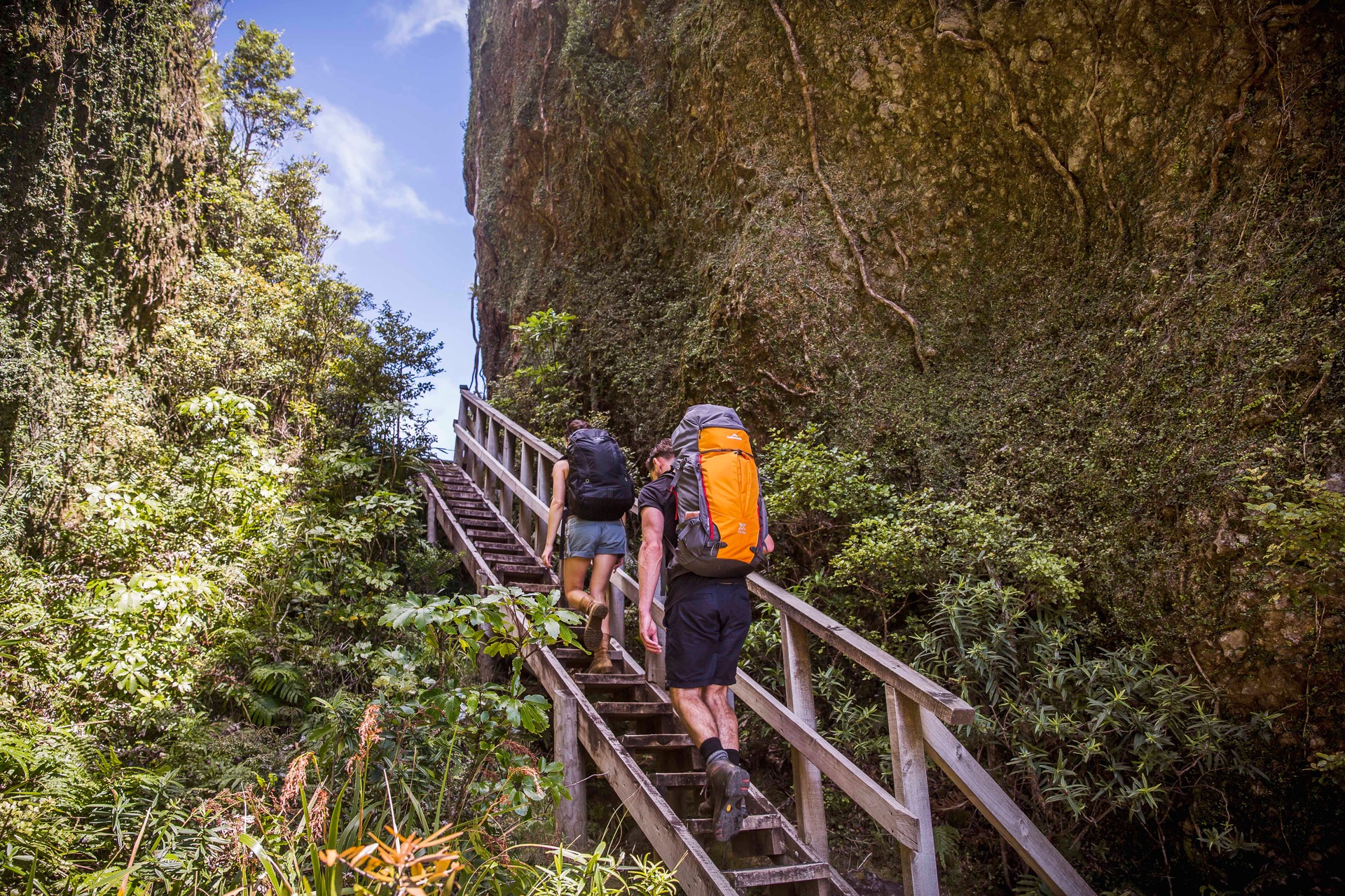 Walking the Aotea Track on Great Barrier Island. Photo / Todd Eyre Photography