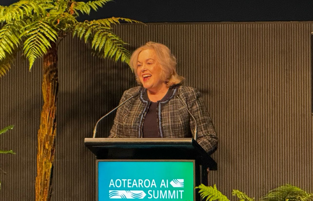Technology Minister Judith Collins is supportive of using artificial intelligence to ease interactions with government.