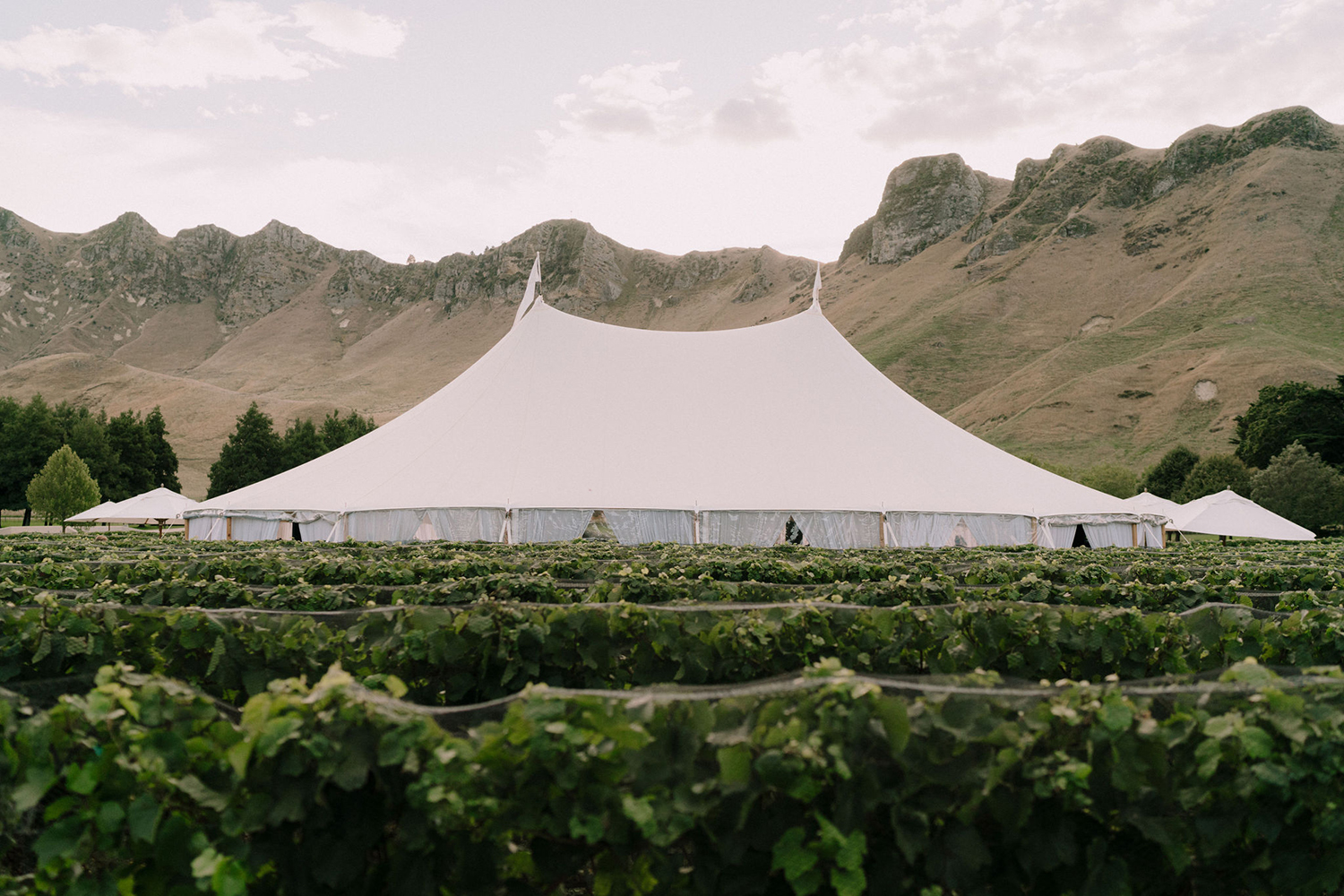 Jessica-Belle and Daniel's New Zealand wedding took place at Craggy Range Winery in Hawke's Bay. Photo / Danelle Bohane