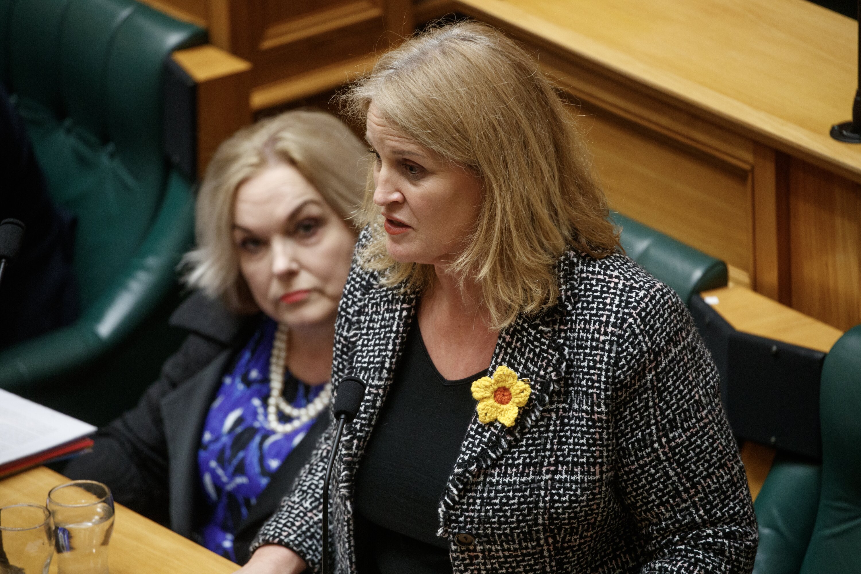 Child Poverty Reduction Minister Louise Upston. Photo / Mark Mitchell